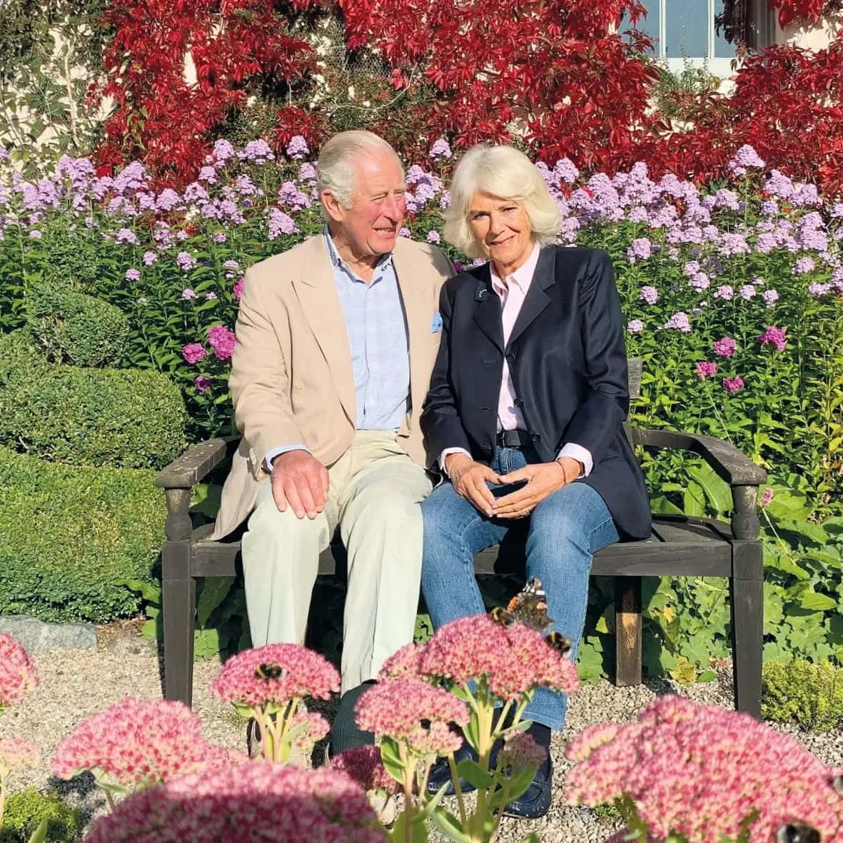 Queen Camilla, wooden bench, vibrant red foliage, SD Desktop Wallpaper