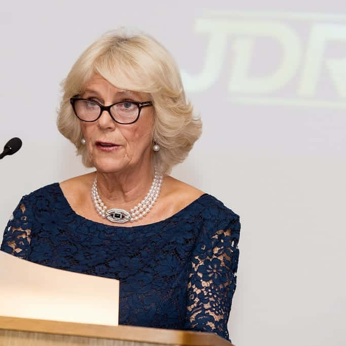Queen Camilla, JDRF Event, navy lace dress, SD Desktop Wallpaper