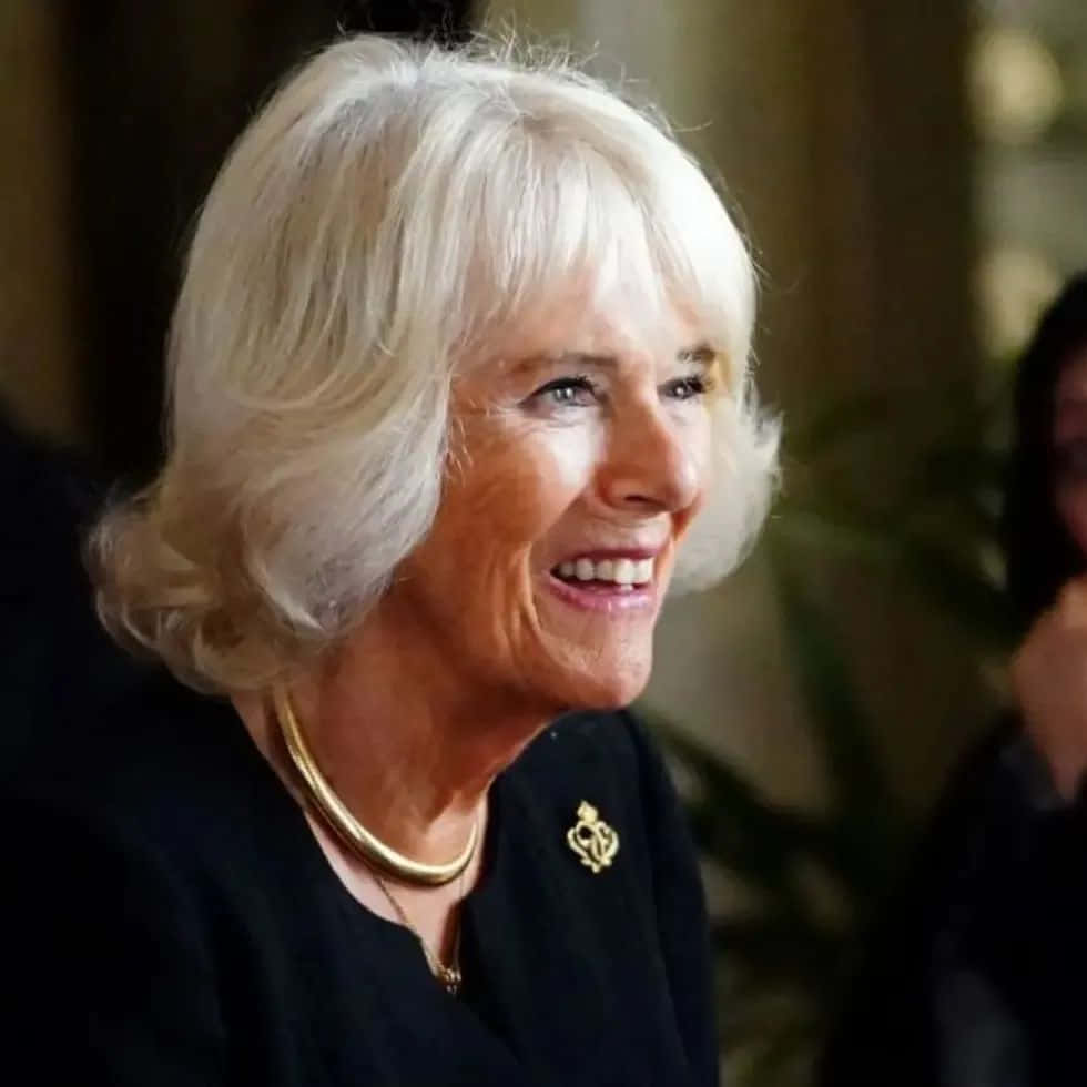 Queen Camilla, white hair, black outfit, SD Desktop Wallpaper