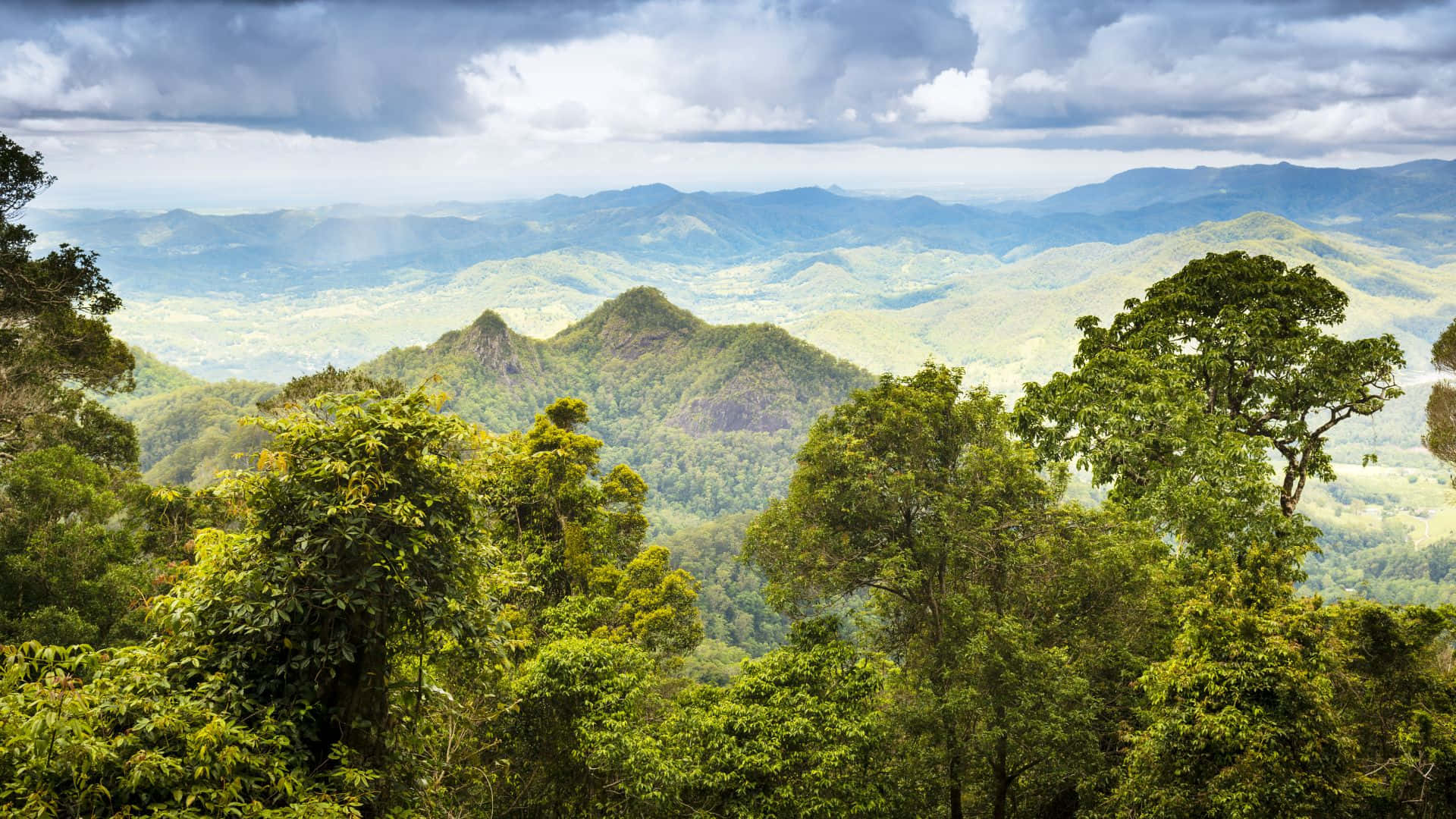 Queensland, lush green forest canopy, rolling mountain ranges, Full HD Desktop Wallpaper