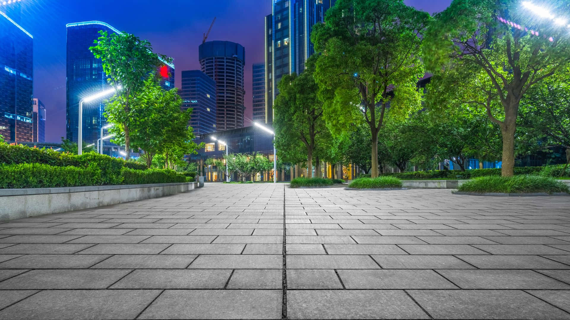 Queensland, stone-paved plaza, lush green trees, Full HD Desktop Wallpaper
