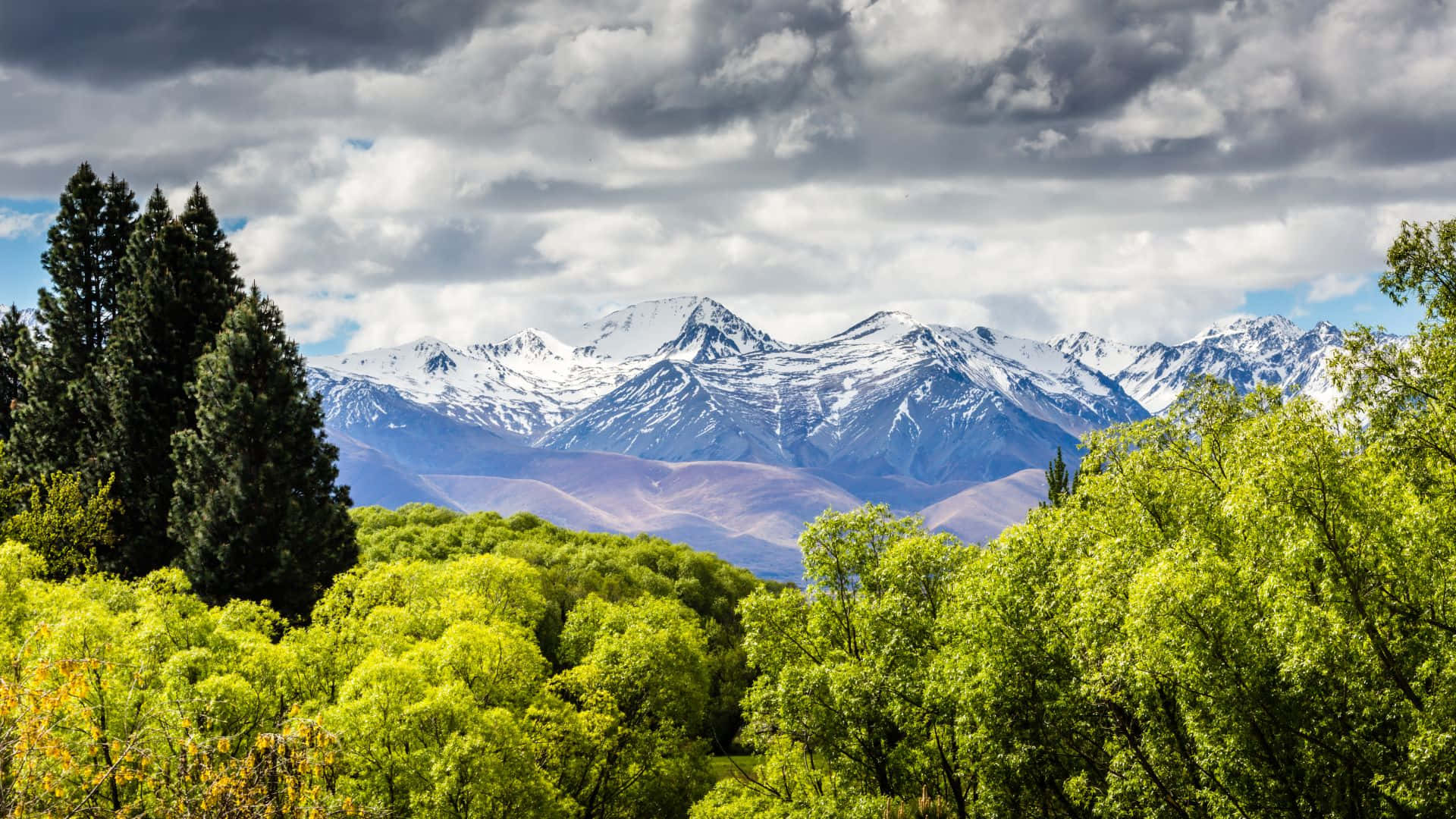 Queensland, snow-capped mountains, vibrant green forests, Full HD Desktop Wallpaper