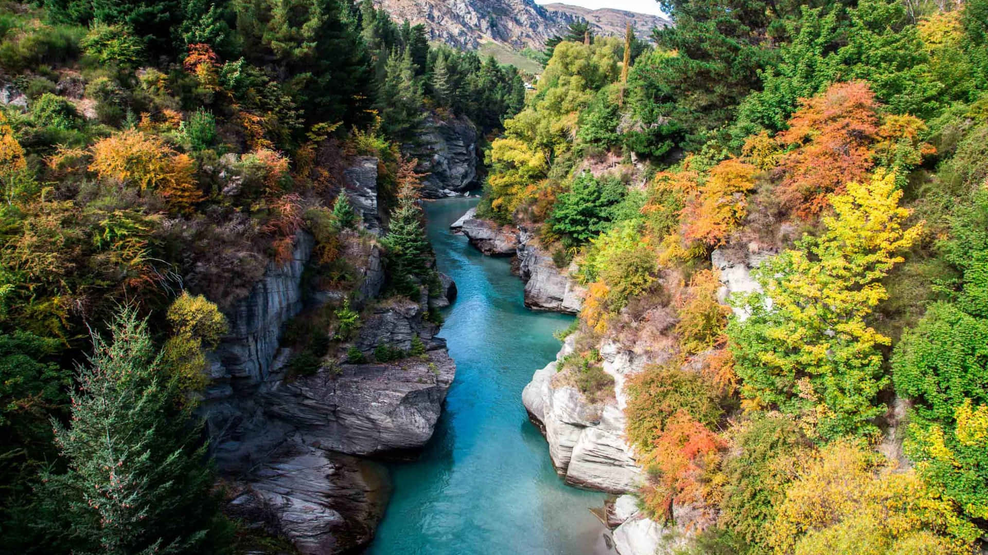 Queenstown, autumn, turquoise river, Full HD Desktop Wallpaper