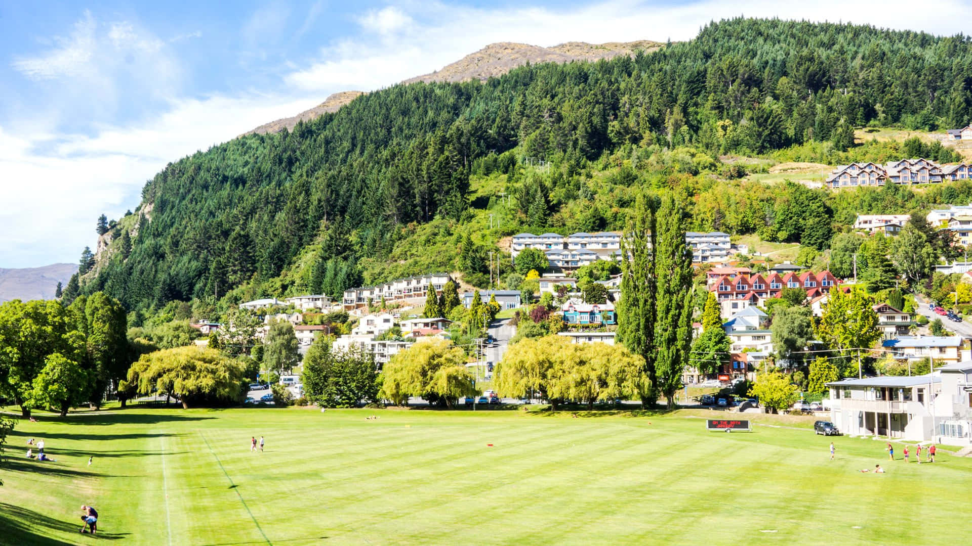 Queenstown New Zealand, cricket ground, vibrant green sports field, Full HD Desktop Wallpaper