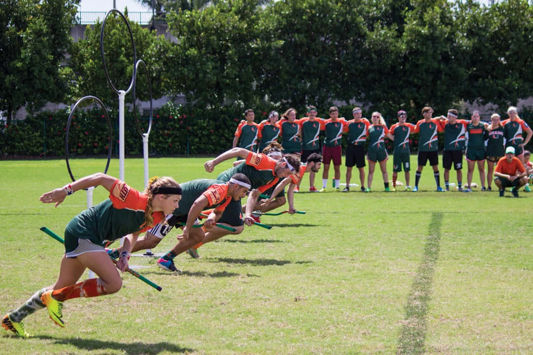 Quidditch, green and orange jerseys, sunlit grass field, SD Desktop Wallpaper