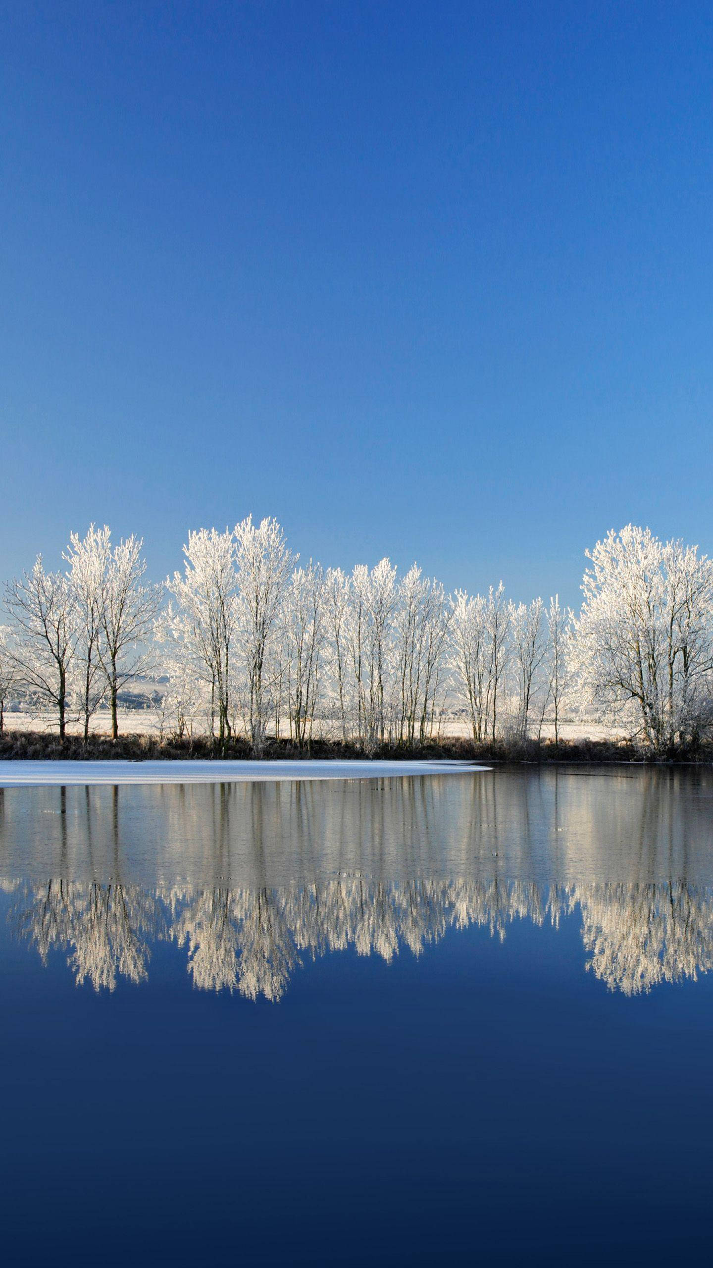 frost-covered trees, glassy frozen lake, clear blue winter sky, 2K Phone Wallpaper