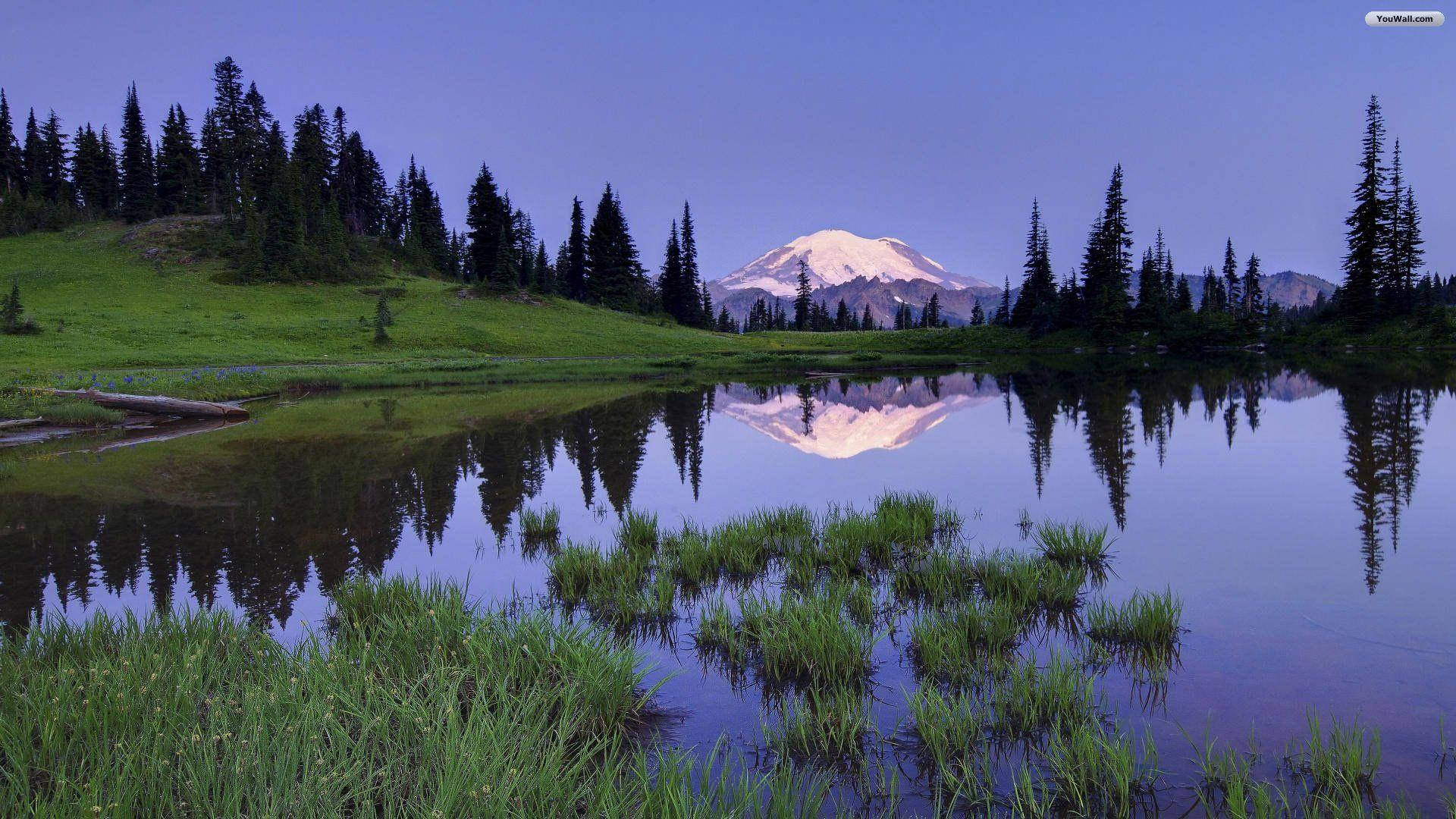 Quiet Lake, snow-capped mountain, evergreen trees, Full HD Desktop Wallpaper