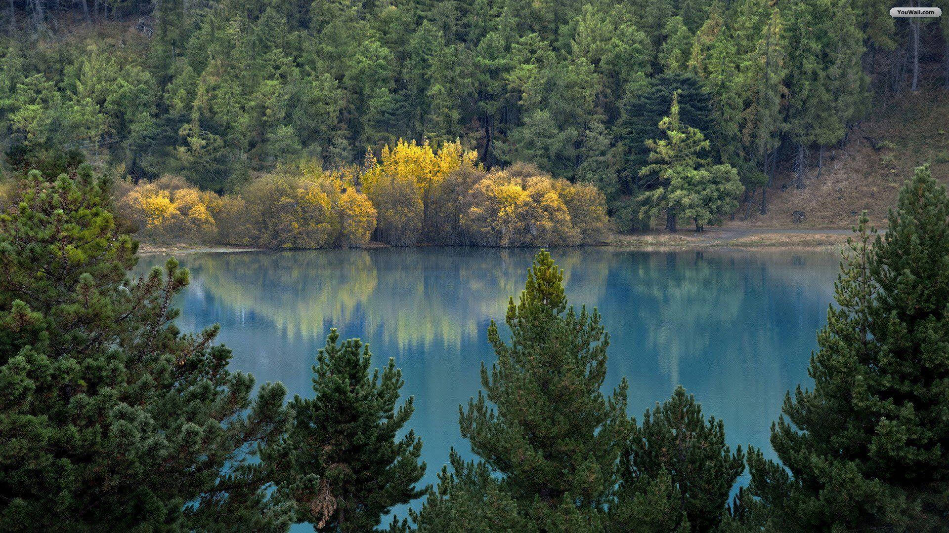 Quiet Lake Forest, lake, evergreens, Full HD Desktop Wallpaper