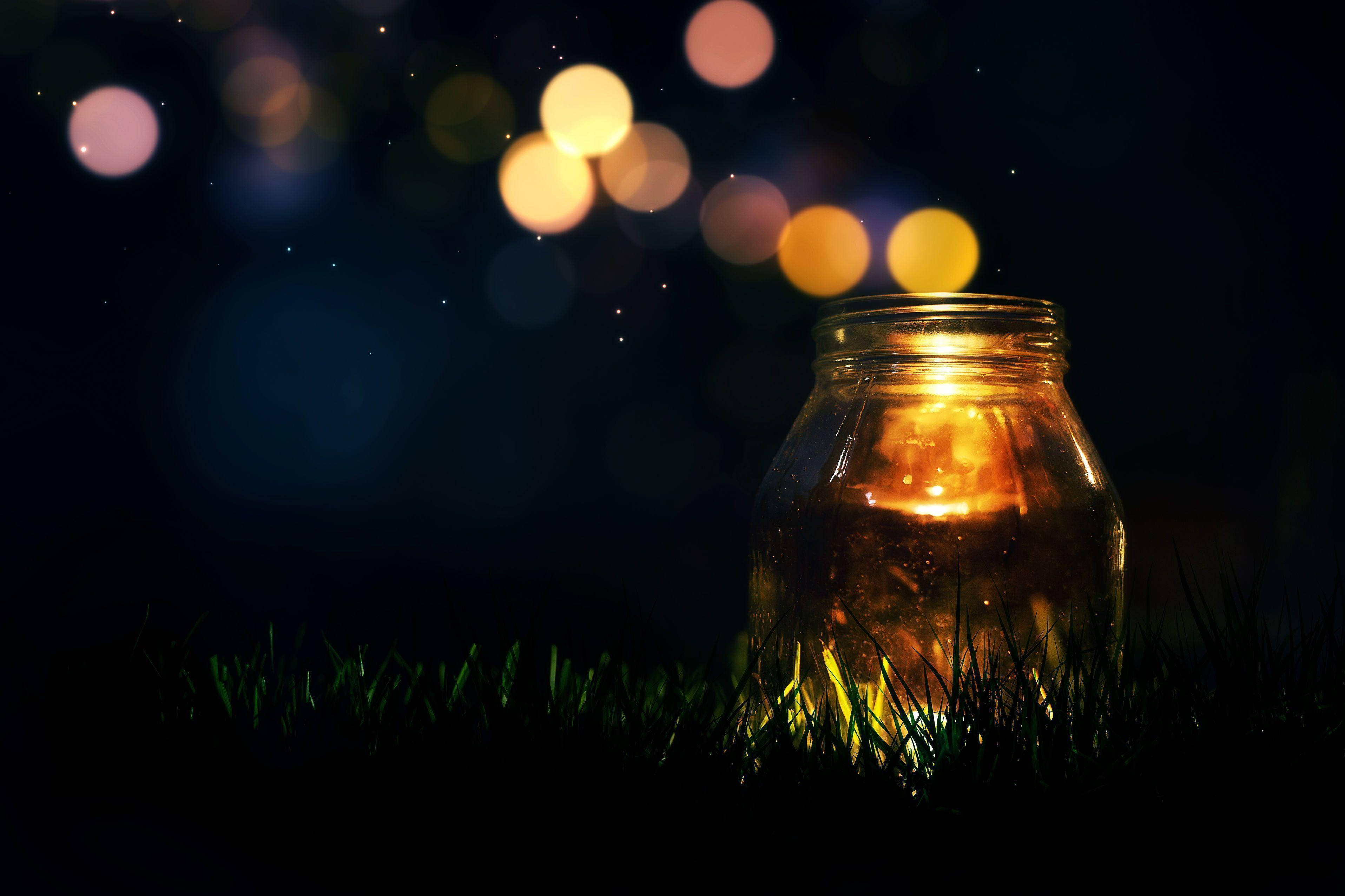 glowing jar, starry night sky, grass, 2K Desktop Wallpaper