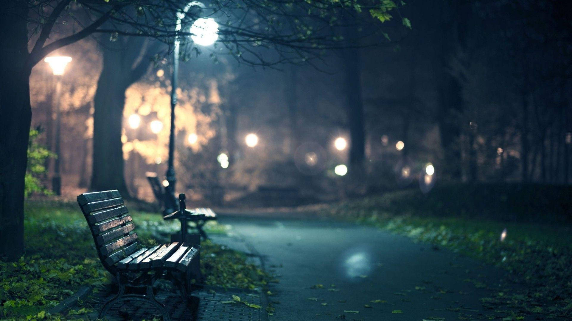 Quiet Park Bench, wooden bench, misty park path, Full HD Desktop Wallpaper