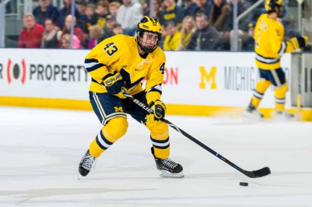 Quinn Hughes, yellow and blue gear, ice rink, SD Desktop Wallpaper