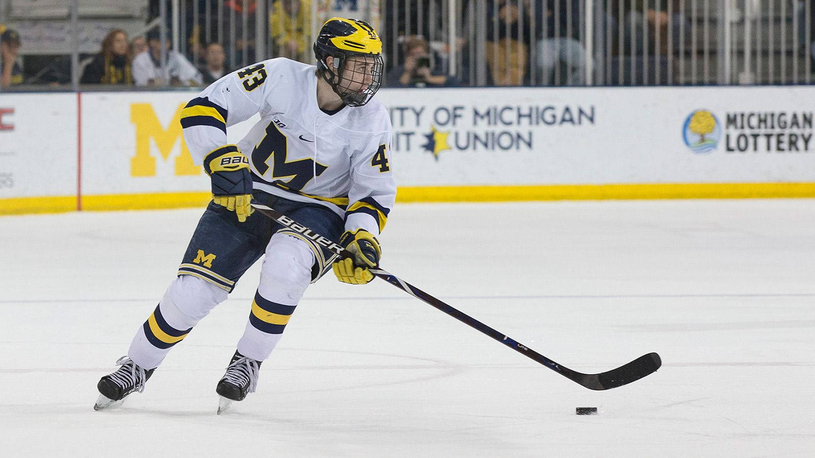 Quinn Hughes, hockey puck, hockey stick, HD Desktop Wallpaper