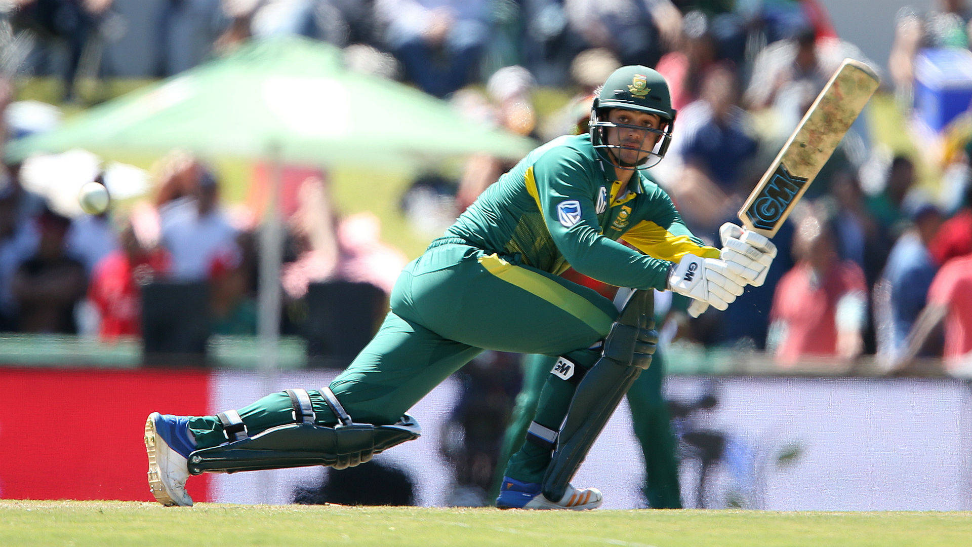 Quinton De Kock, green and yellow uniform, cricket batsman, Full HD Desktop Wallpaper