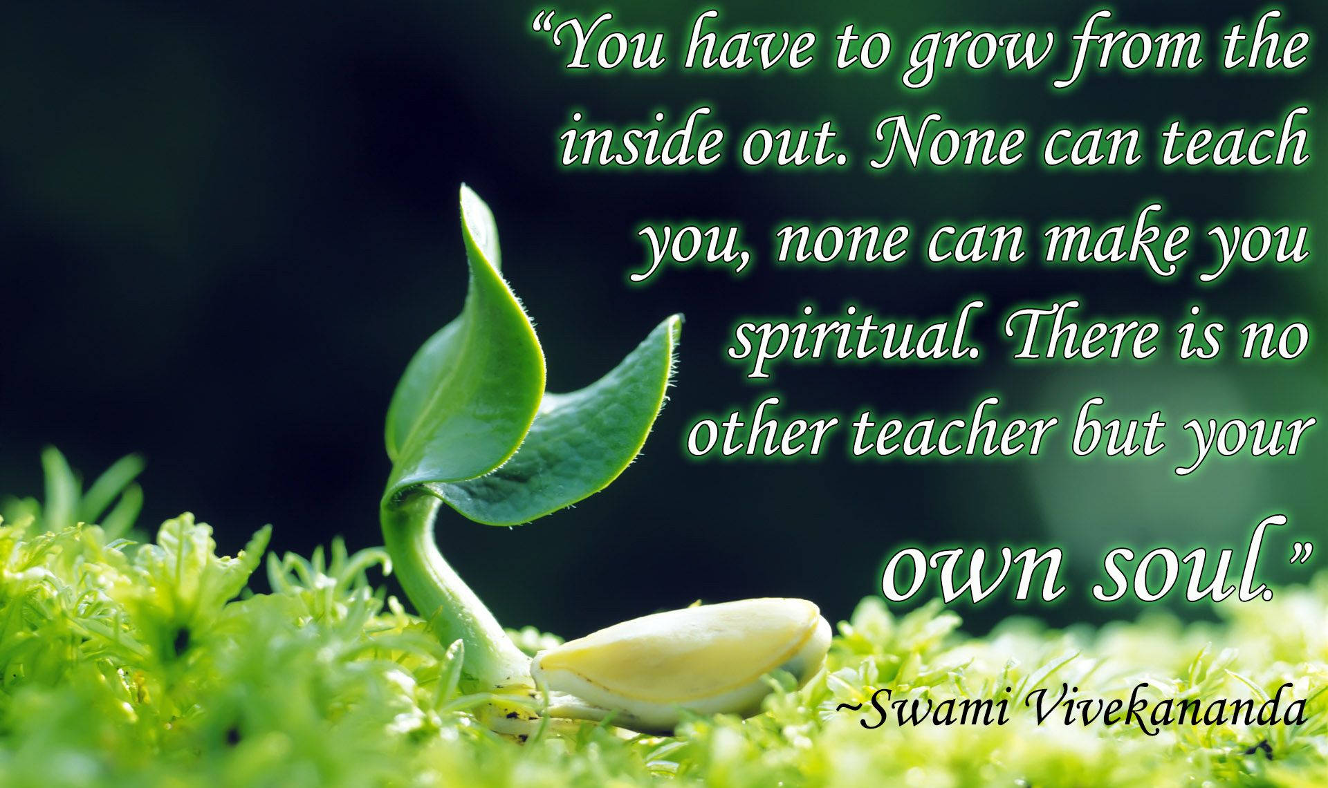 Grow Inside Out Quote, vibrant green sprout, mossy ground, Full HD Desktop Wallpaper