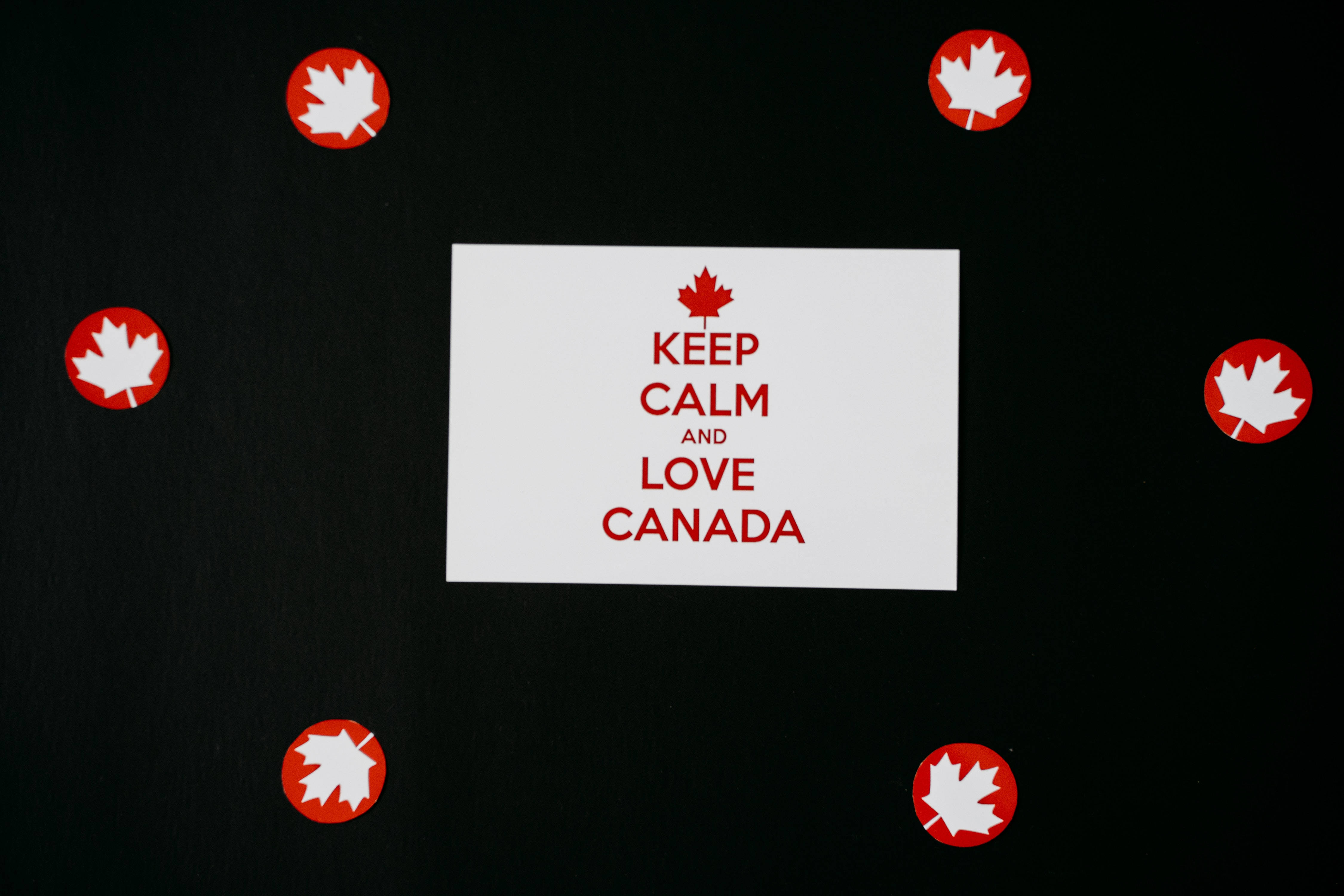 Keep Calm and Love Canada, red maple leaf stickers, white card, 4K Desktop Wallpaper