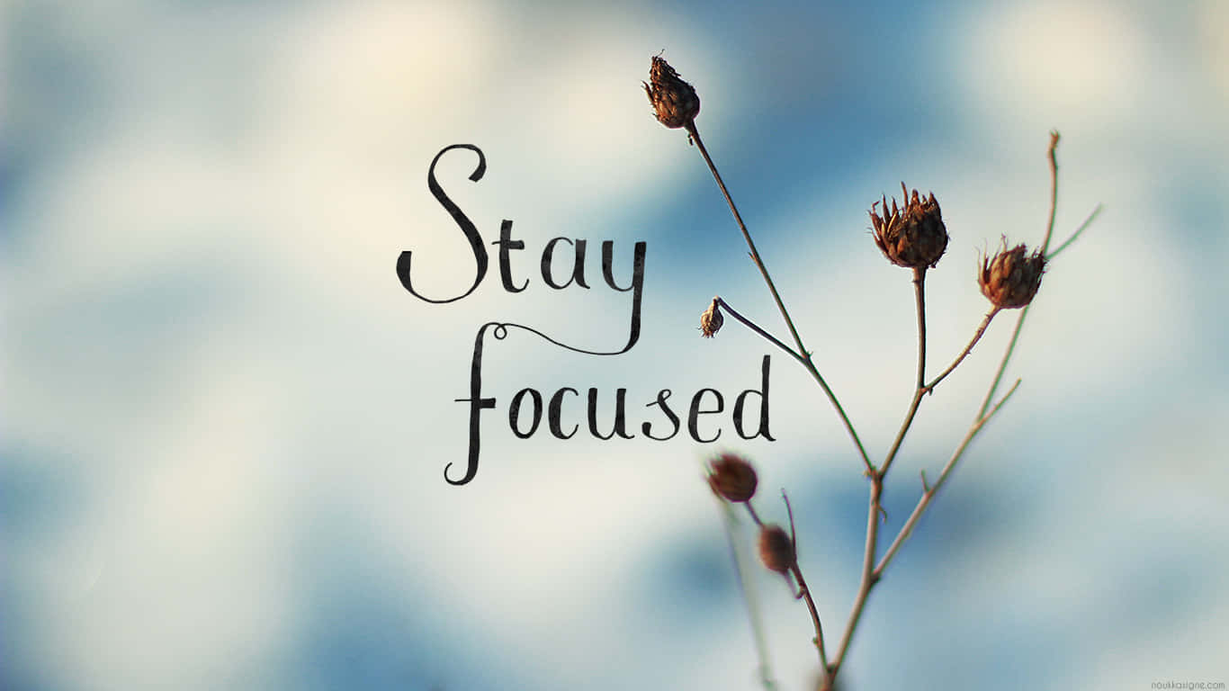 cursive text, Stay focused, soft blue sky, HD Desktop Wallpaper
