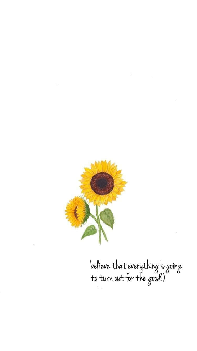 sunflower, green stems, leaves, HD Phone Wallpaper