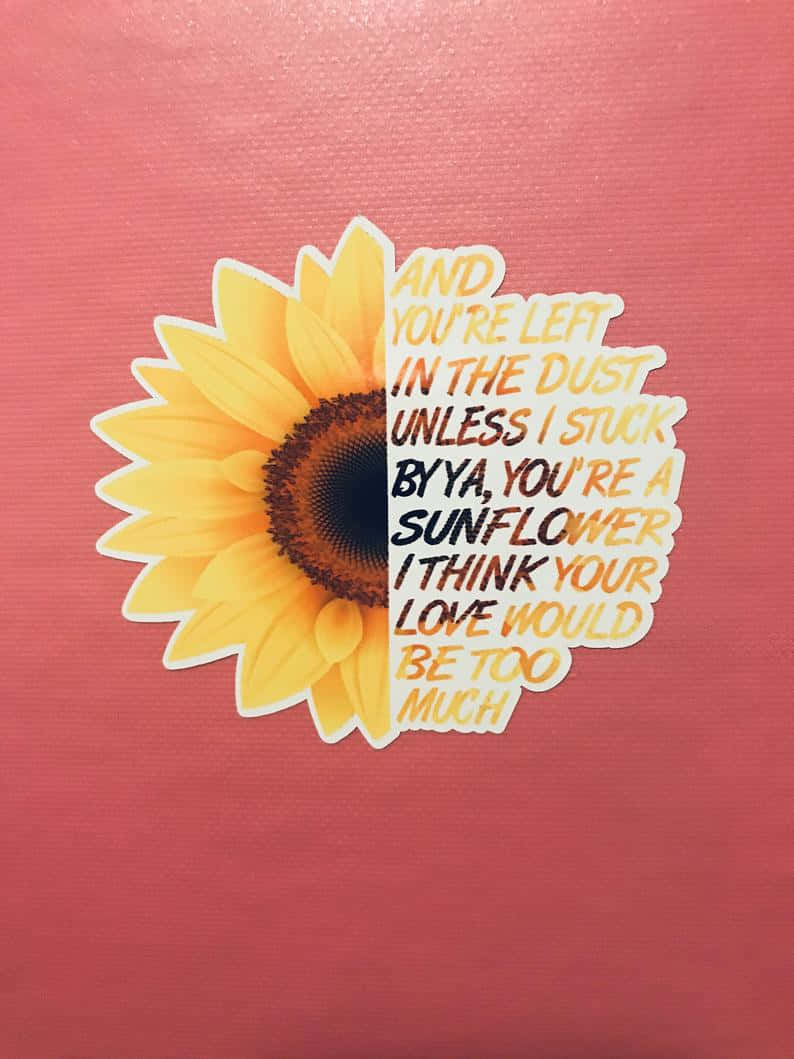 sunflower, bold text, petals, SD Phone Wallpaper