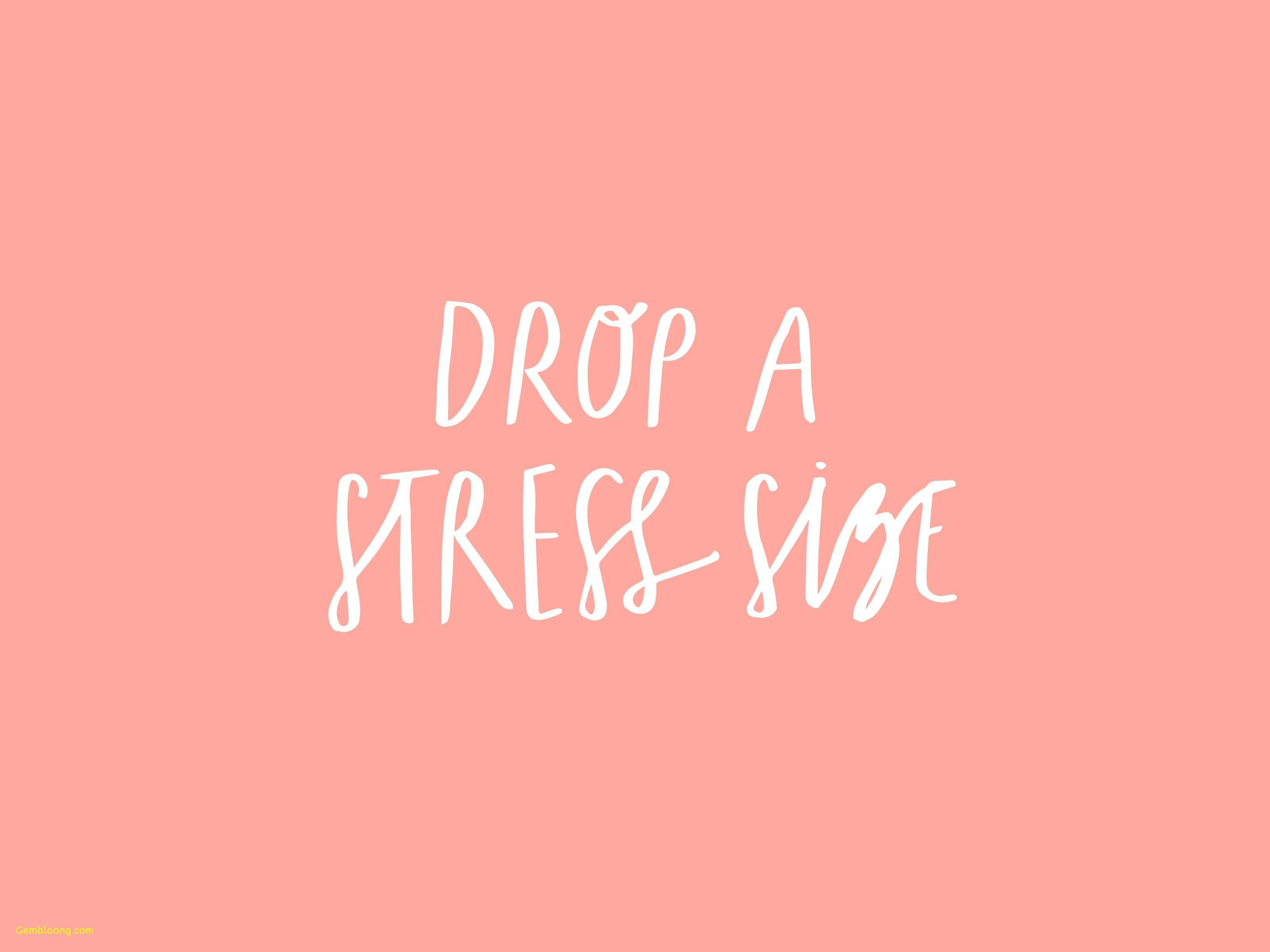 laptop screen, white handwritten text, drop a stress size, 2K Desktop Wallpaper