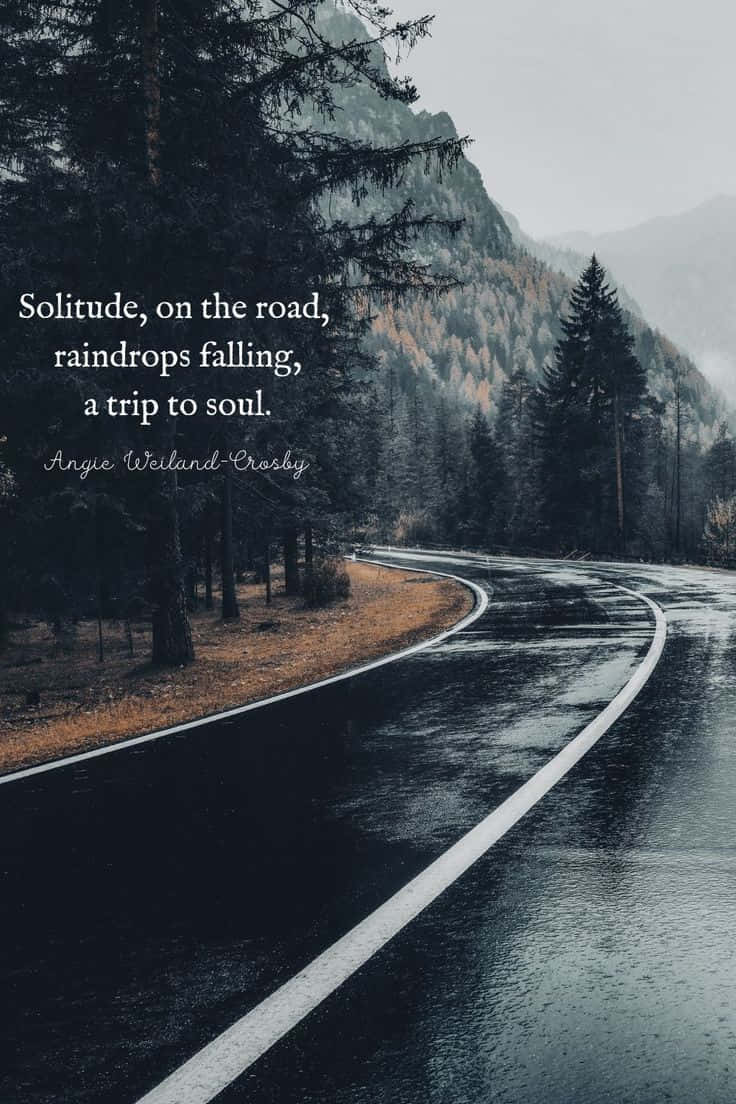winding wet road, misty forested mountain valley, overcast sky, SD Phone Wallpaper