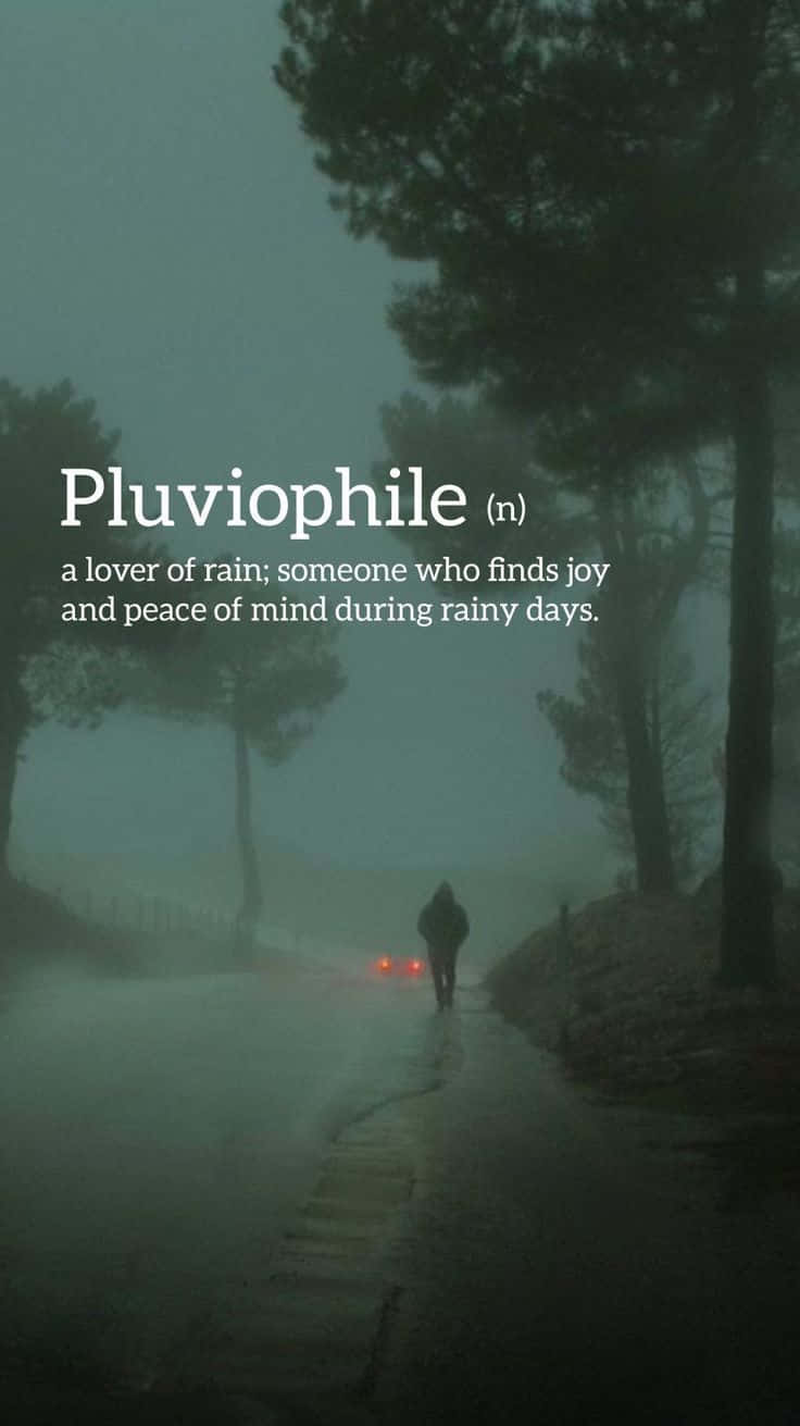 pluvophile, misty forest path, gray skies, HD Phone Wallpaper