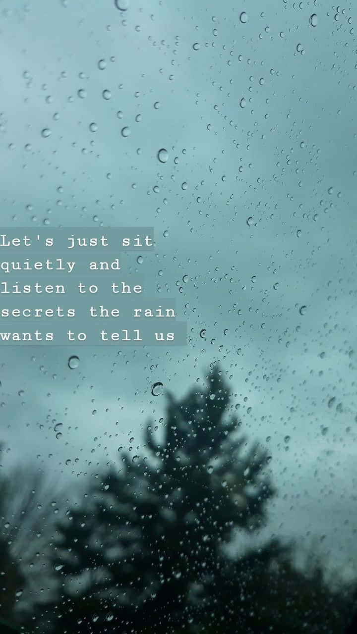 Raindrops, window, blurred evergreen trees, HD Phone Wallpaper