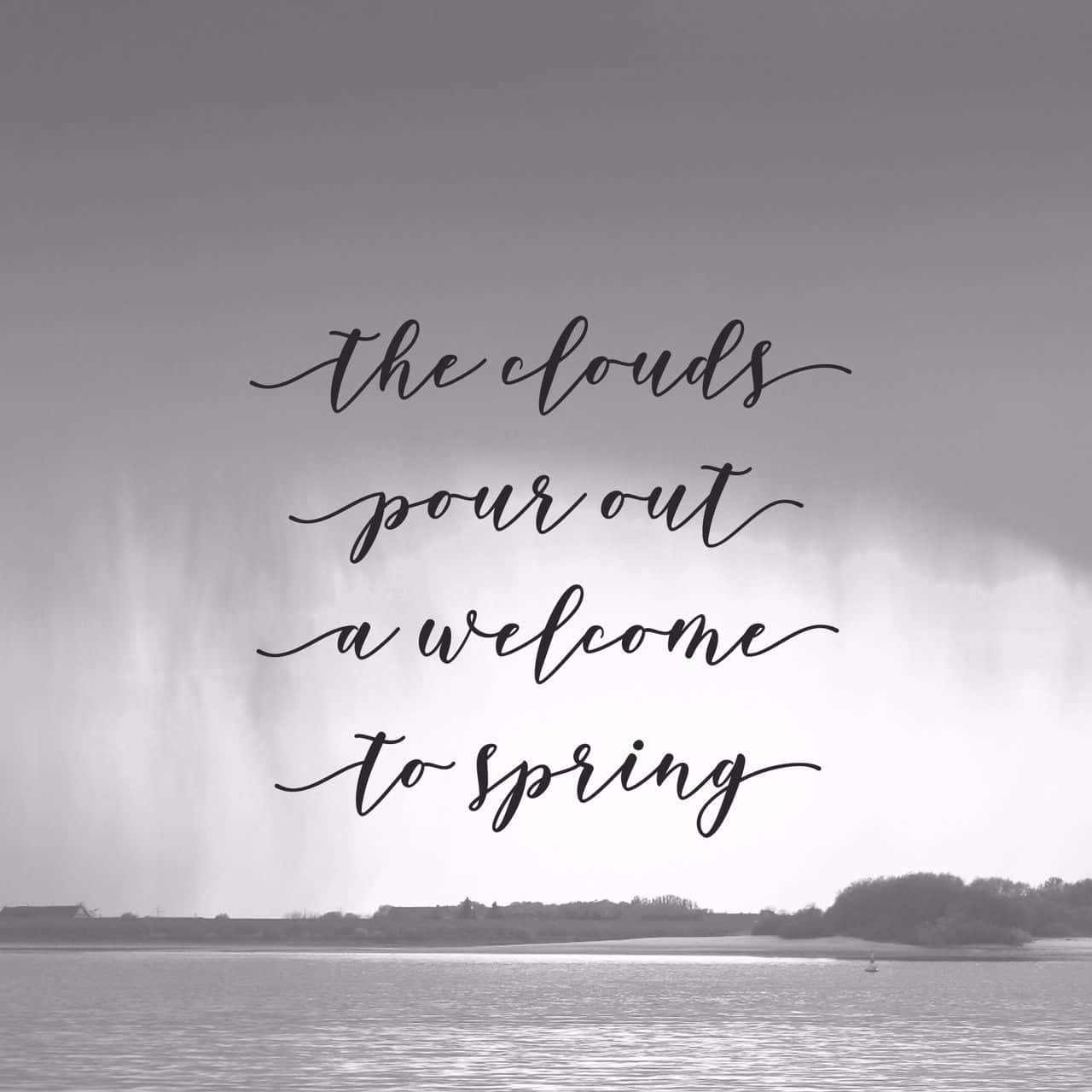 monochrome, lake scene, graceful cursive text, HD Desktop Wallpaper