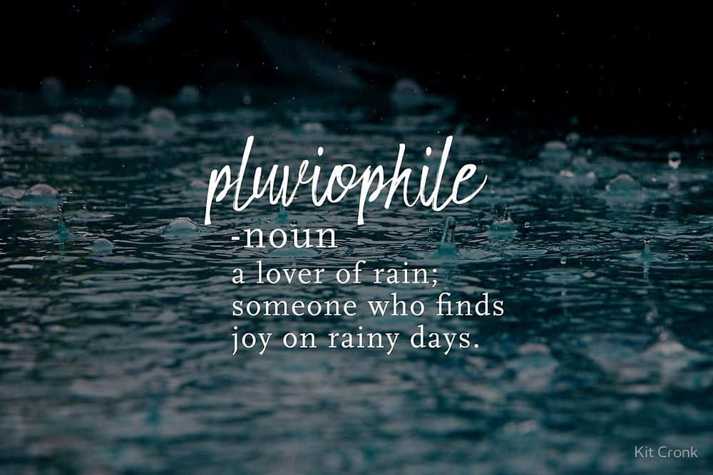 Quotes Rainy Days, pluviophile, stormy sky, SD Desktop Wallpaper