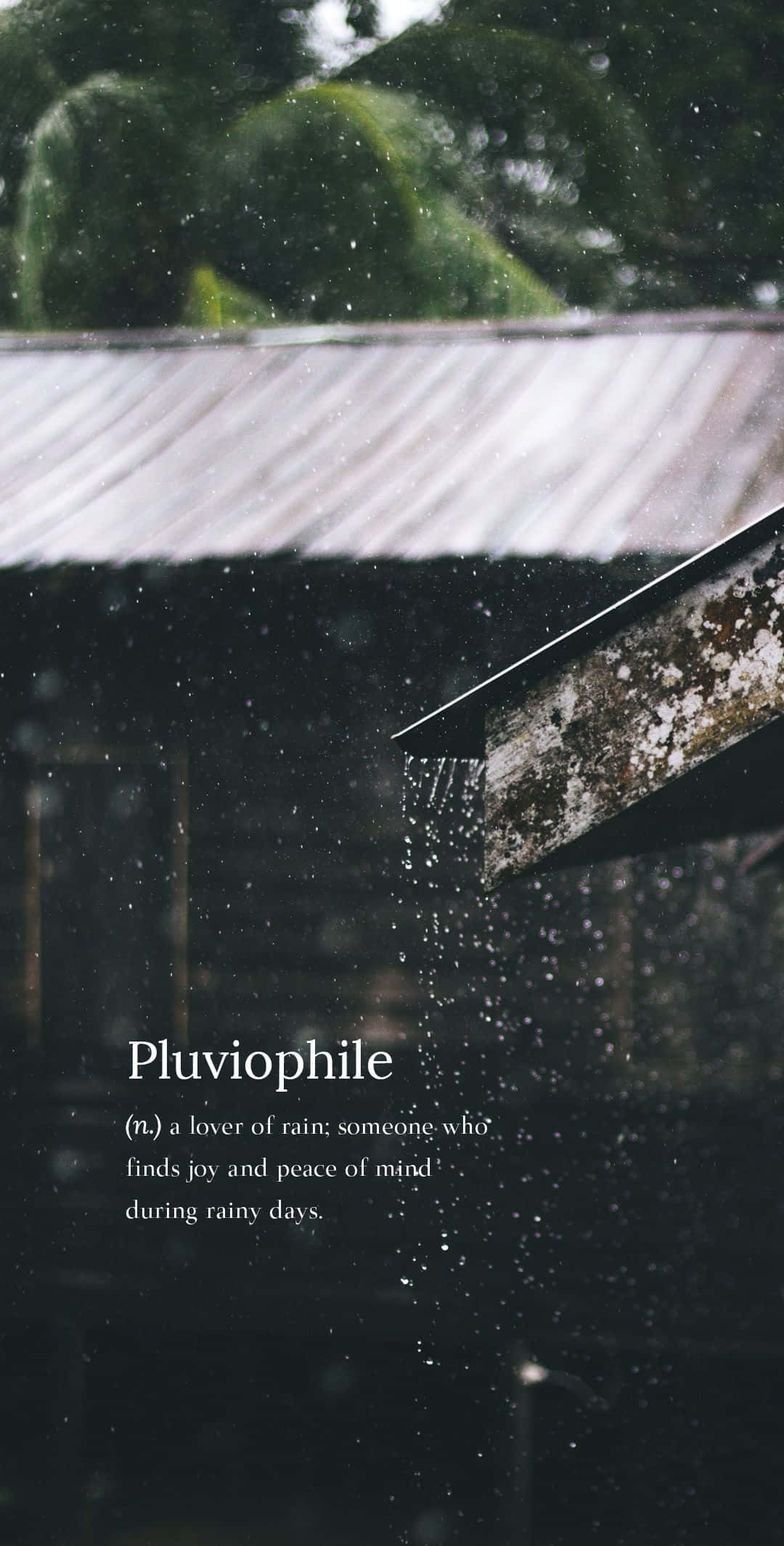 pyrophyle, raindrops, weathered metal roof, Full HD Phone Wallpaper