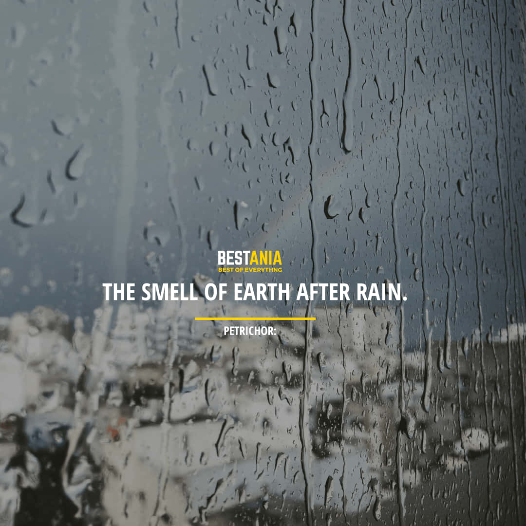 raindrops, glass pane, gray urban skyline, SD Desktop Wallpaper