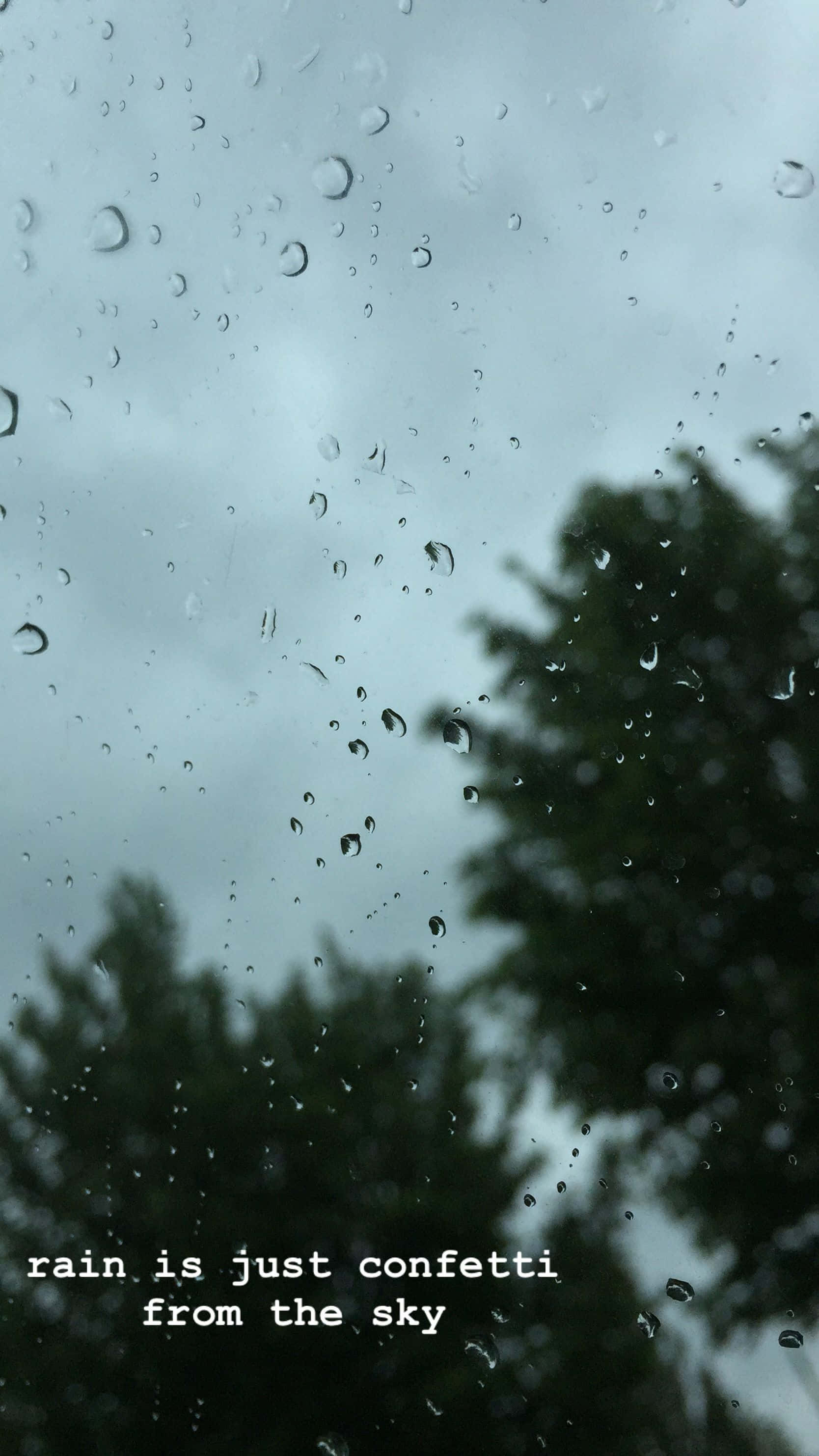 raindrops, glass pane, blurred green trees, 2K Phone Wallpaper
