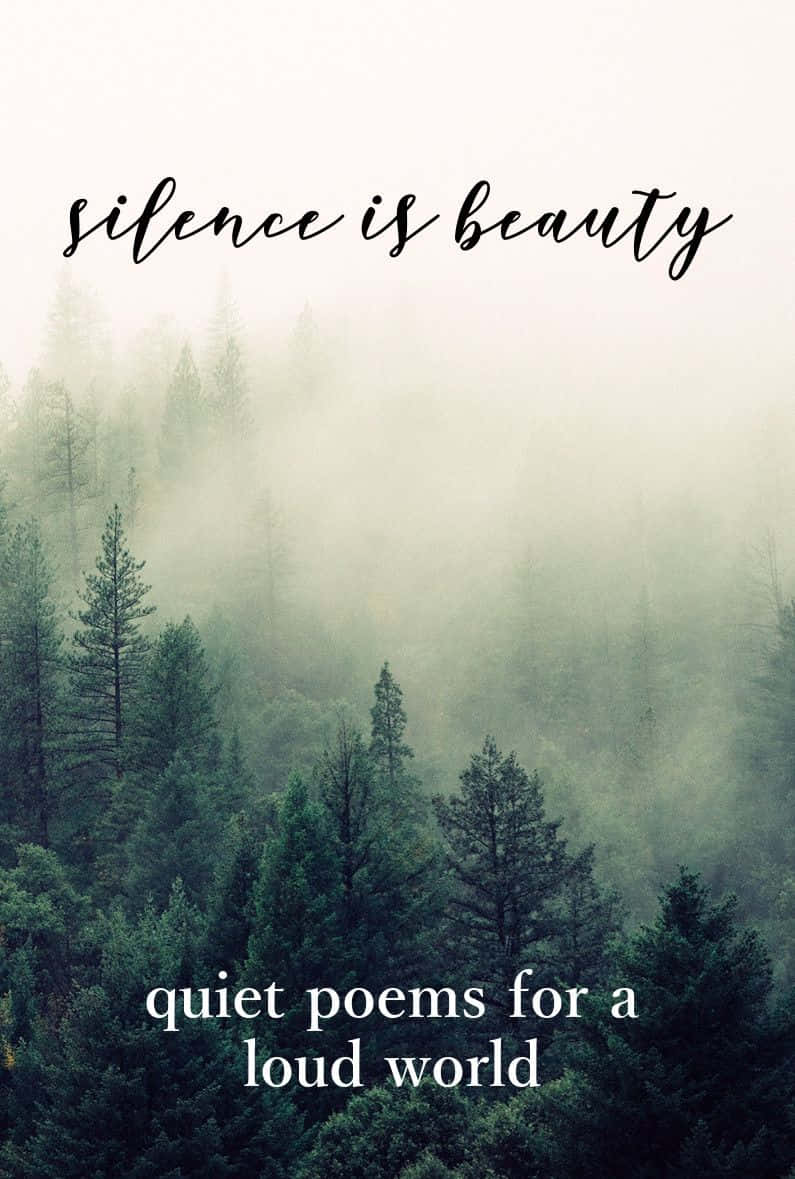 Misty forest, tall pine trees, soft fog, SD Phone Wallpaper