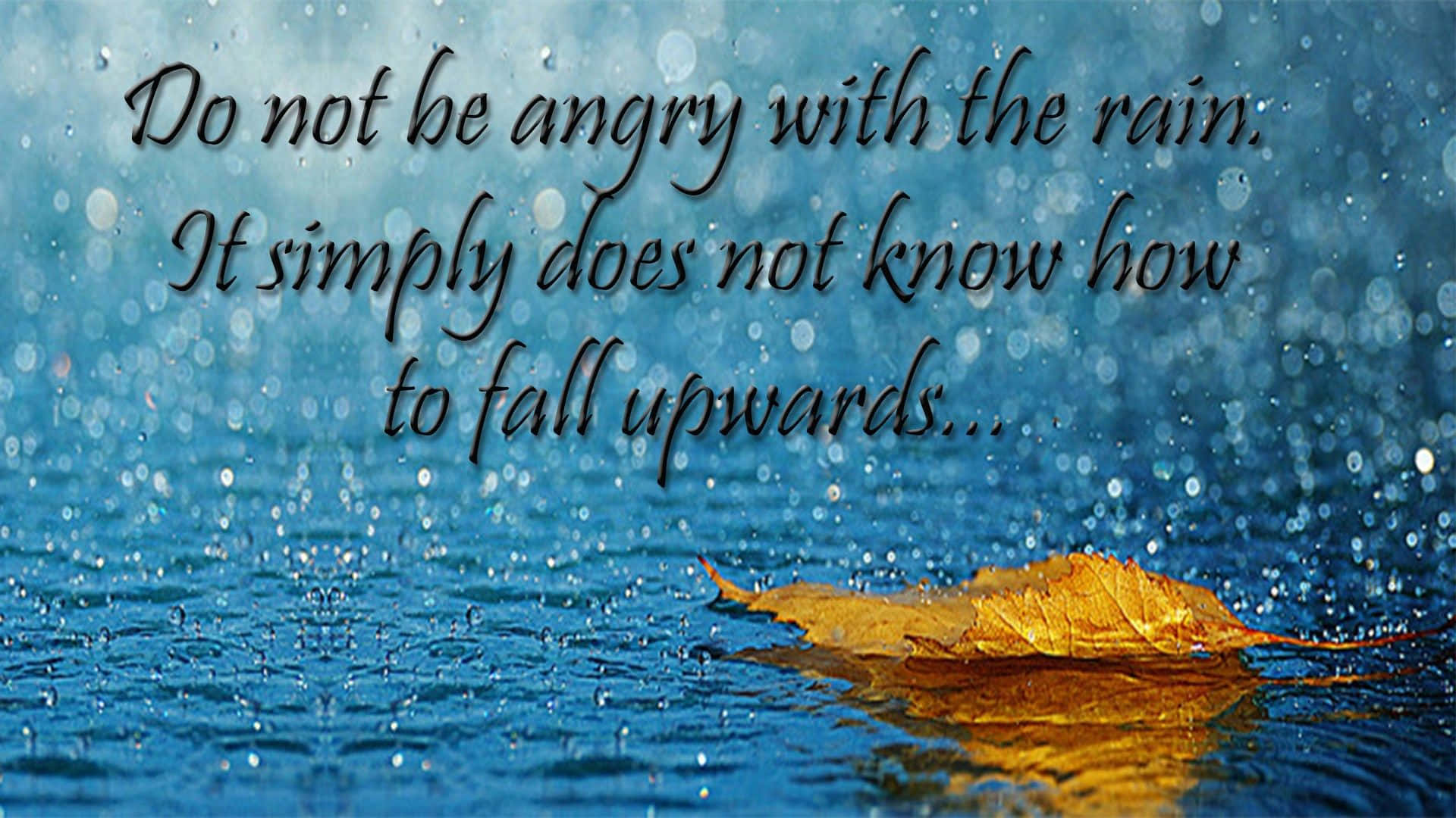 golden autumn leaf, rippling blue water, raindrops, Full HD Desktop Wallpaper