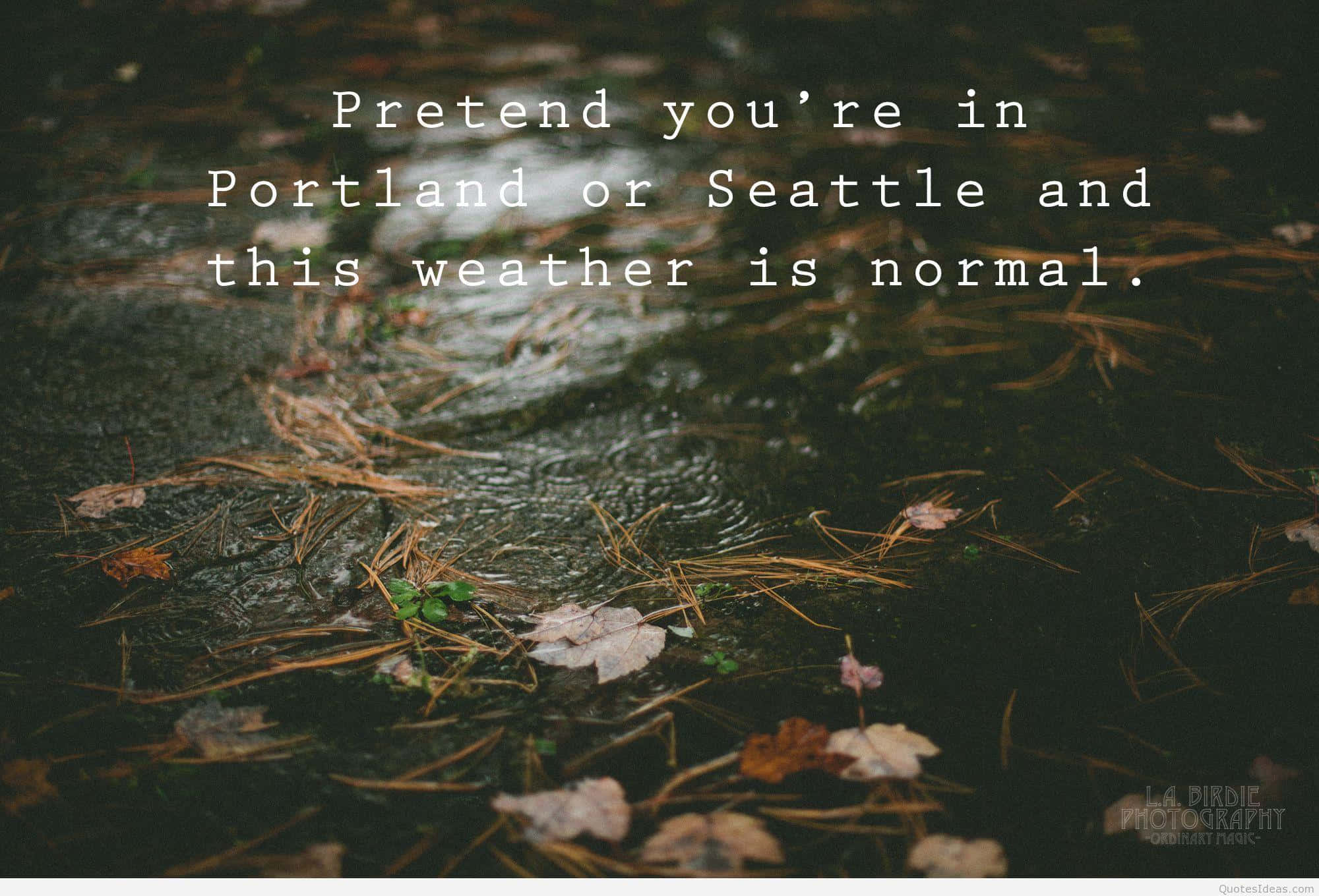 rainy days, dark wet pavement, fallen pine needles, Full HD Desktop Wallpaper