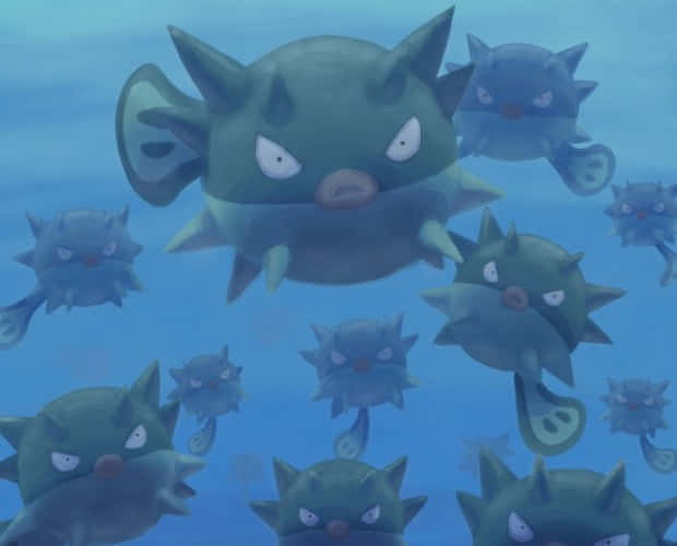 Qwilfish, school of Qwilfish, porcupine-like, SD Desktop Wallpaper