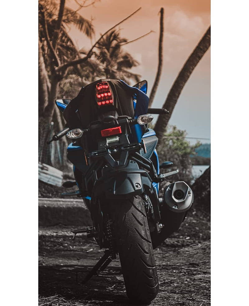 R15v3, palm trees, sunset, SD Phone Wallpaper