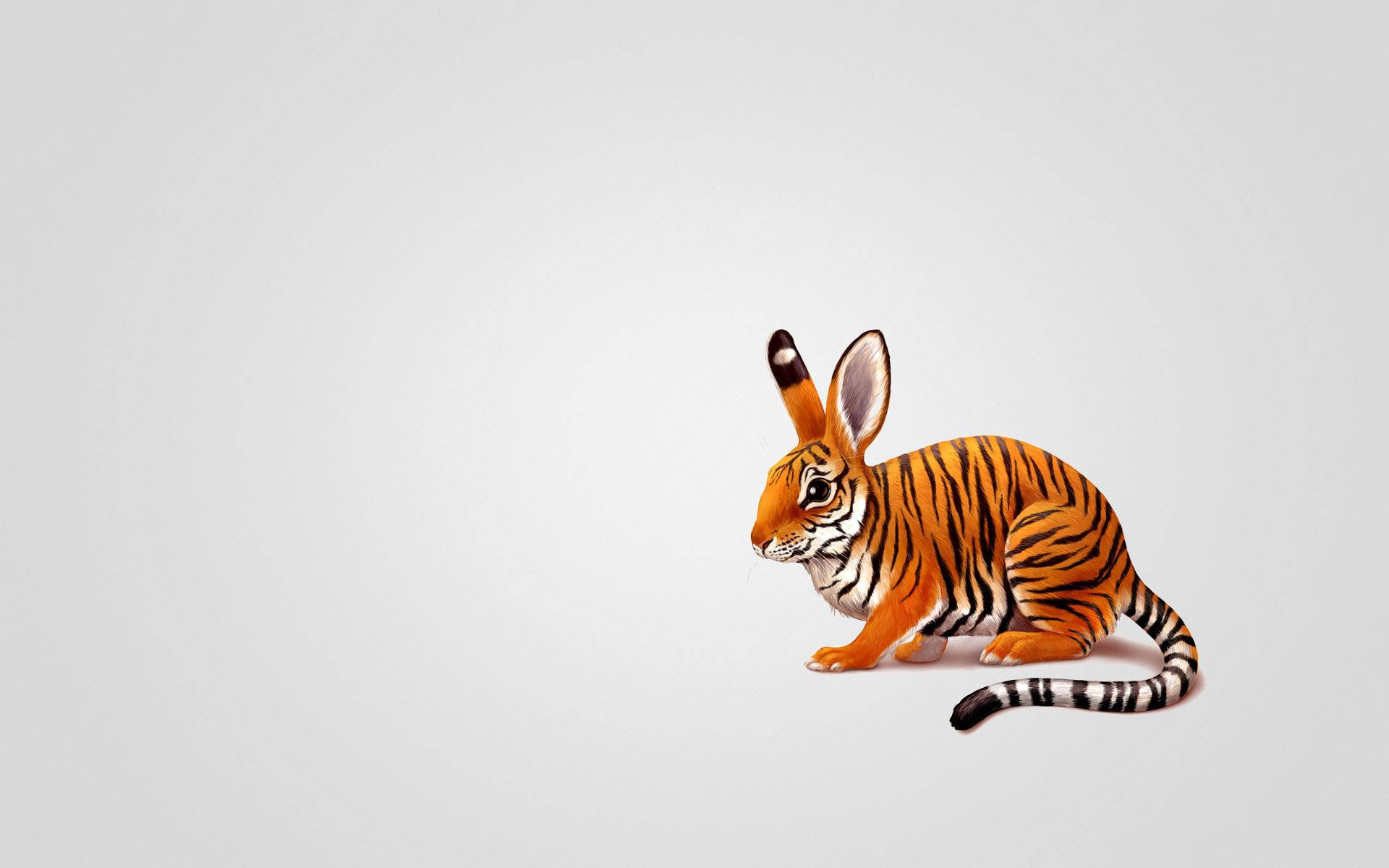rabbit, tiger stripes, light gray background, Full HD Desktop Wallpaper