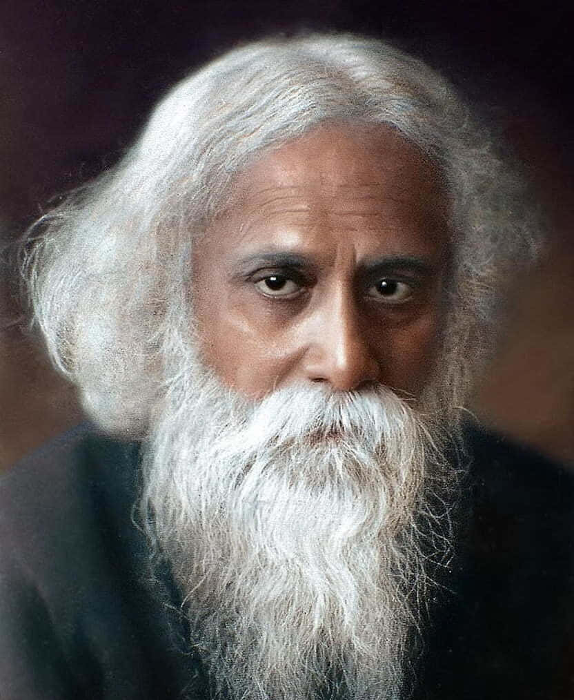 portrait of a Nobel Laureate Poet, man with long white hair and beard, dark garment, SD Phone Wallpaper