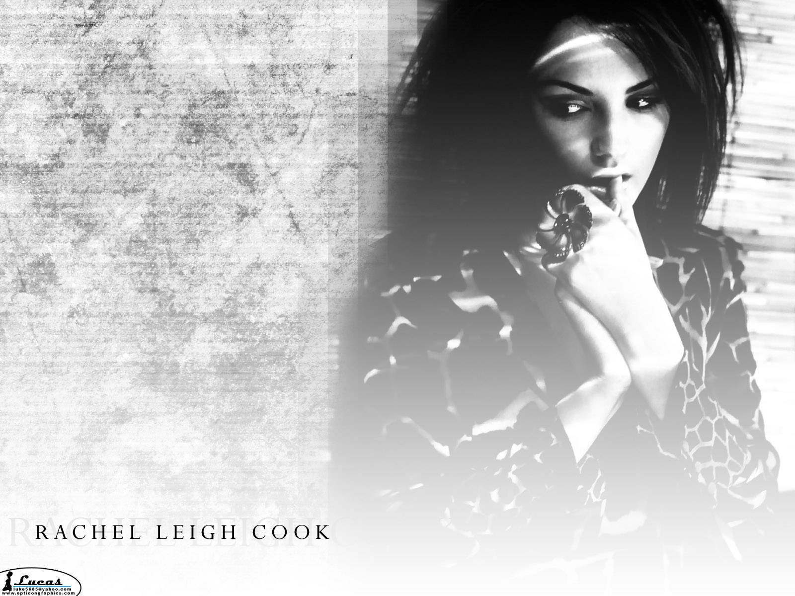 Rachael Leigh Cook, grey scale, black and white portrait, HD Desktop Wallpaper