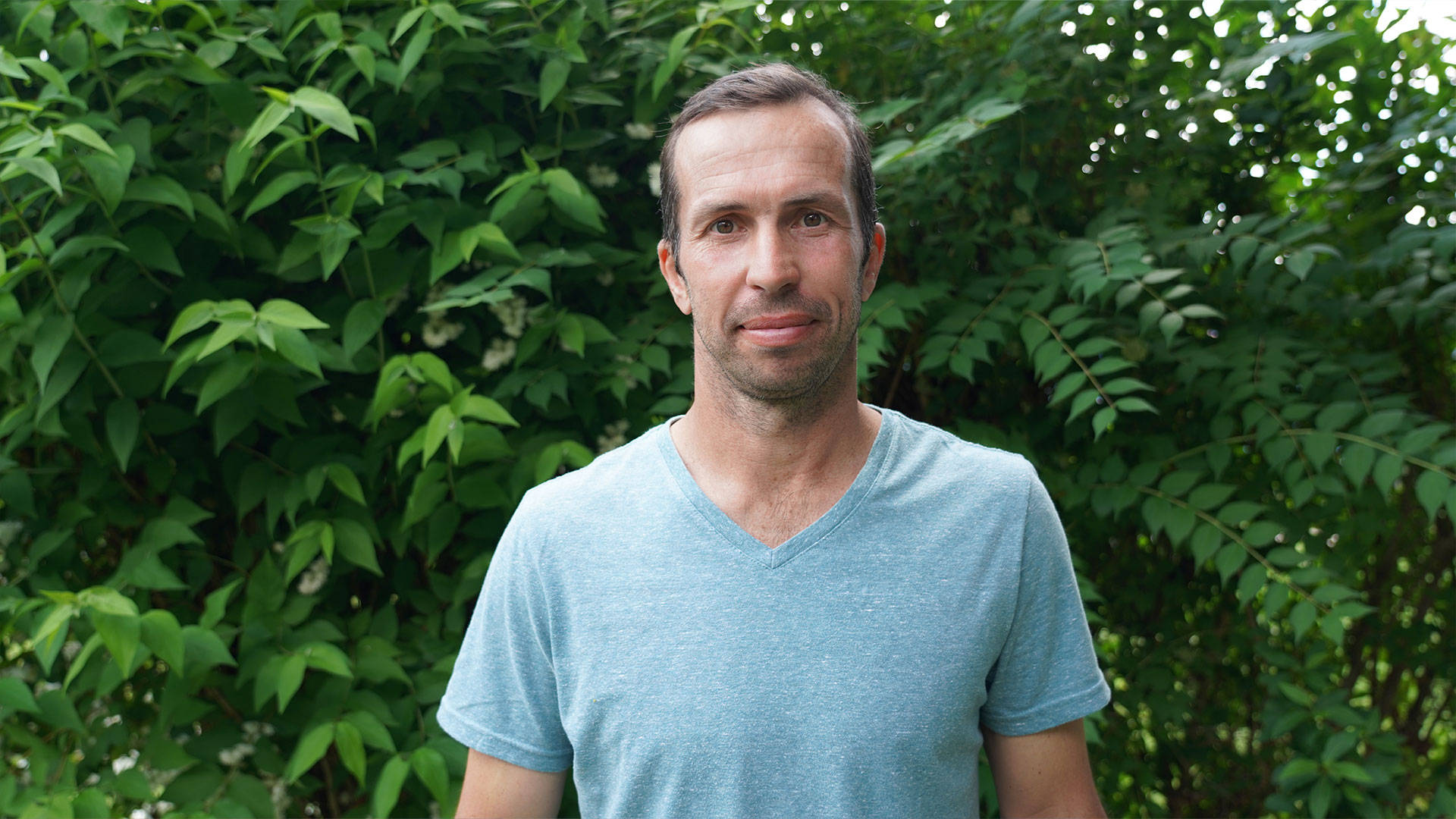 Radek Stepanek, light blue t-shirt, lush green leafy hedge, Full HD Desktop Wallpaper