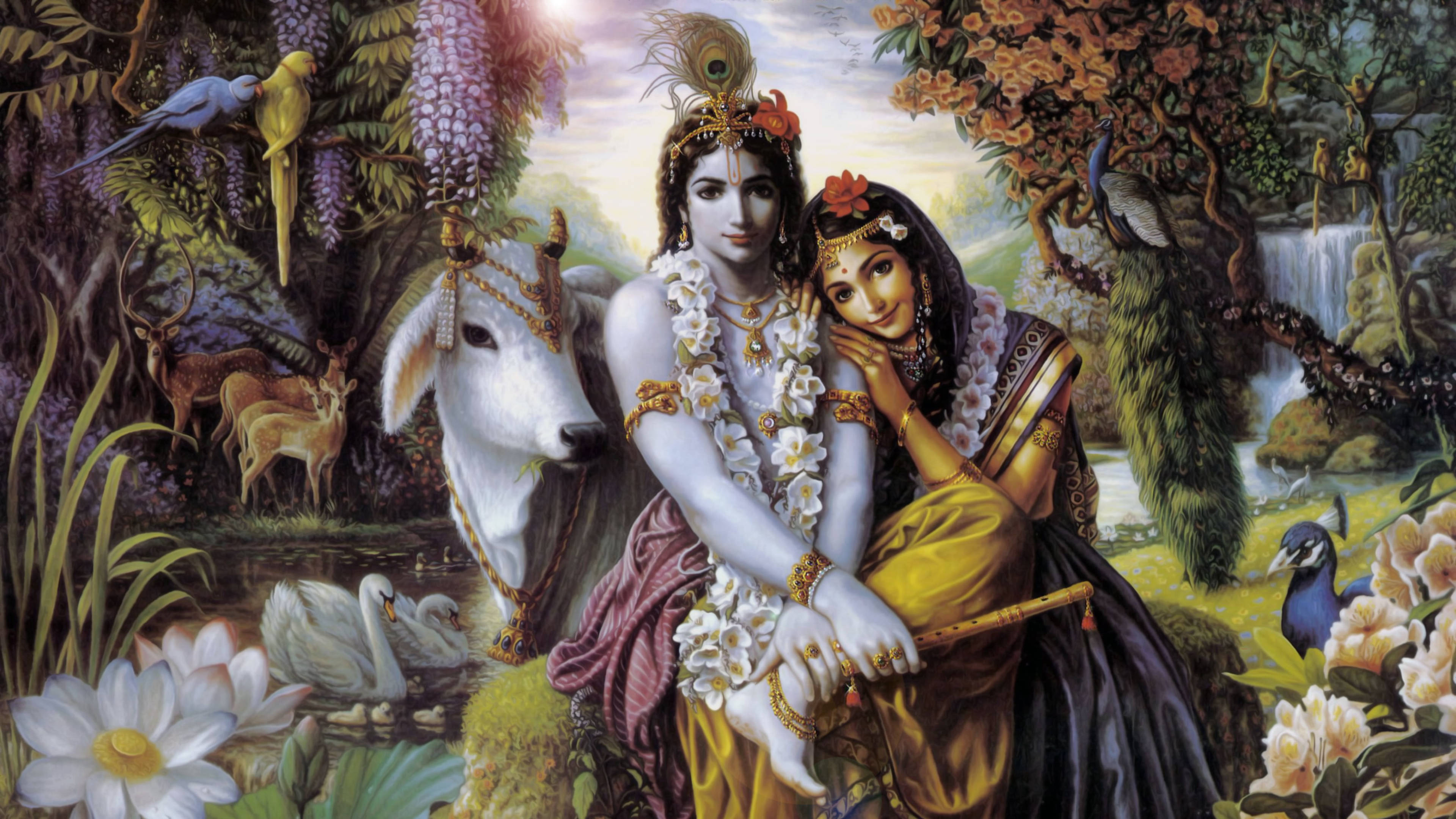 Radha Krishna, ornate attire, lush jungle flora, 4K Desktop Wallpaper
