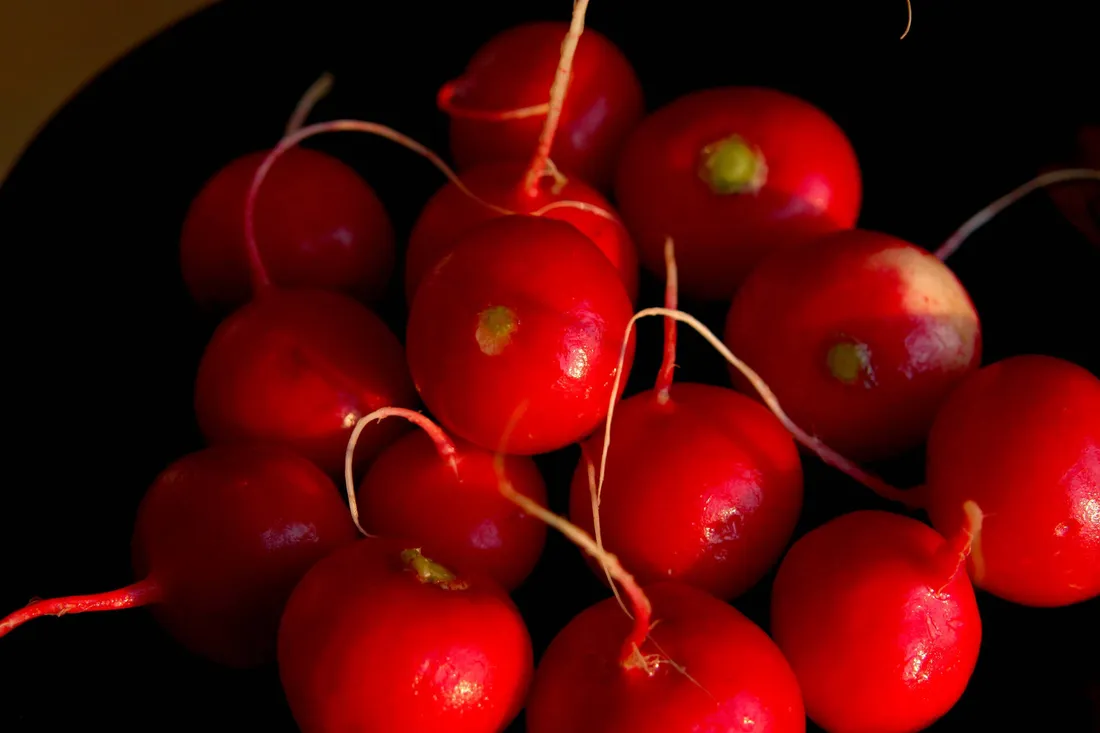 Radish