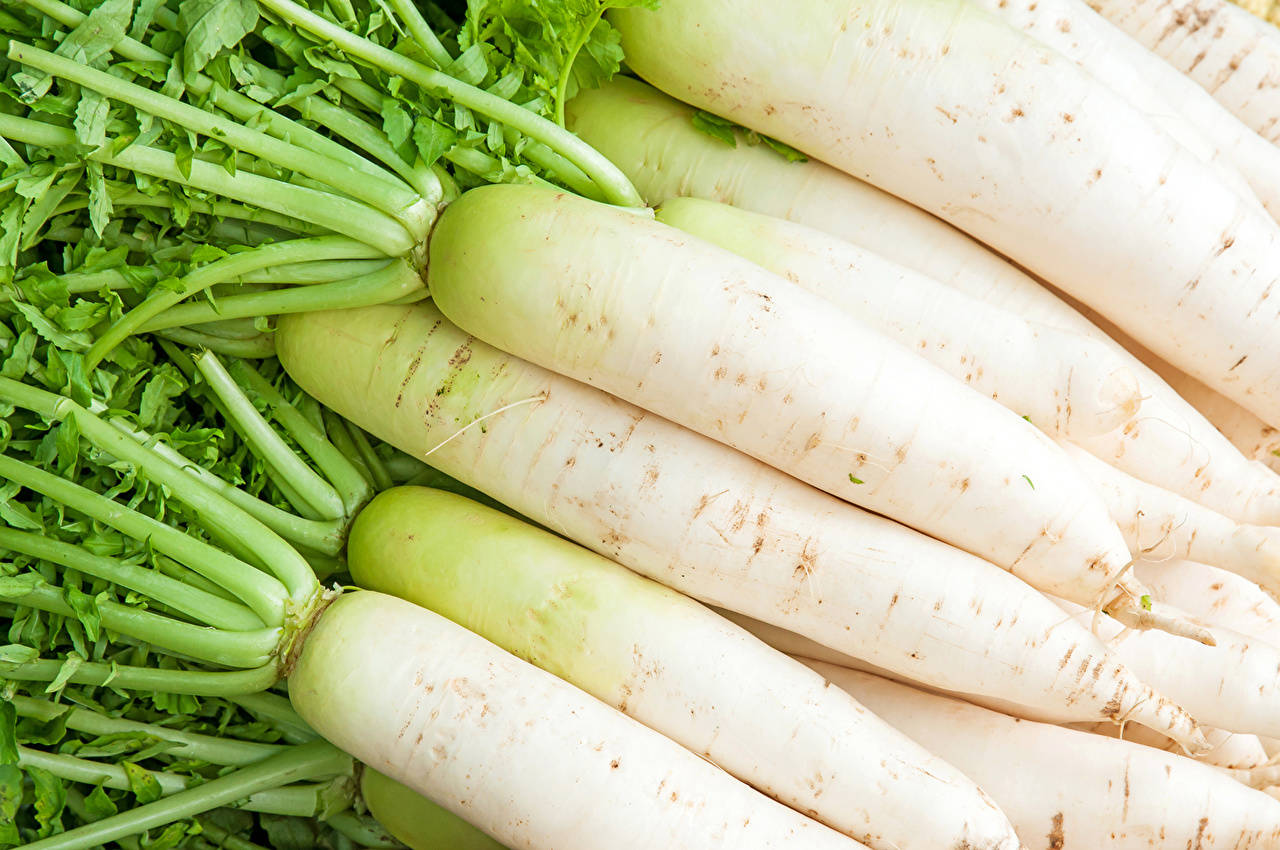 daikon radish, white radishes, vibrant green stems, HD Desktop Wallpaper