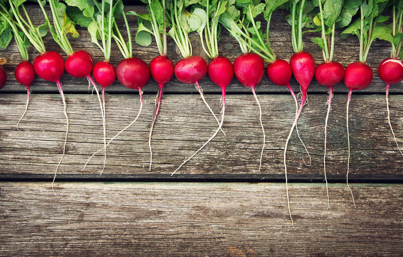 radish, red, green tops, HD Desktop Wallpaper