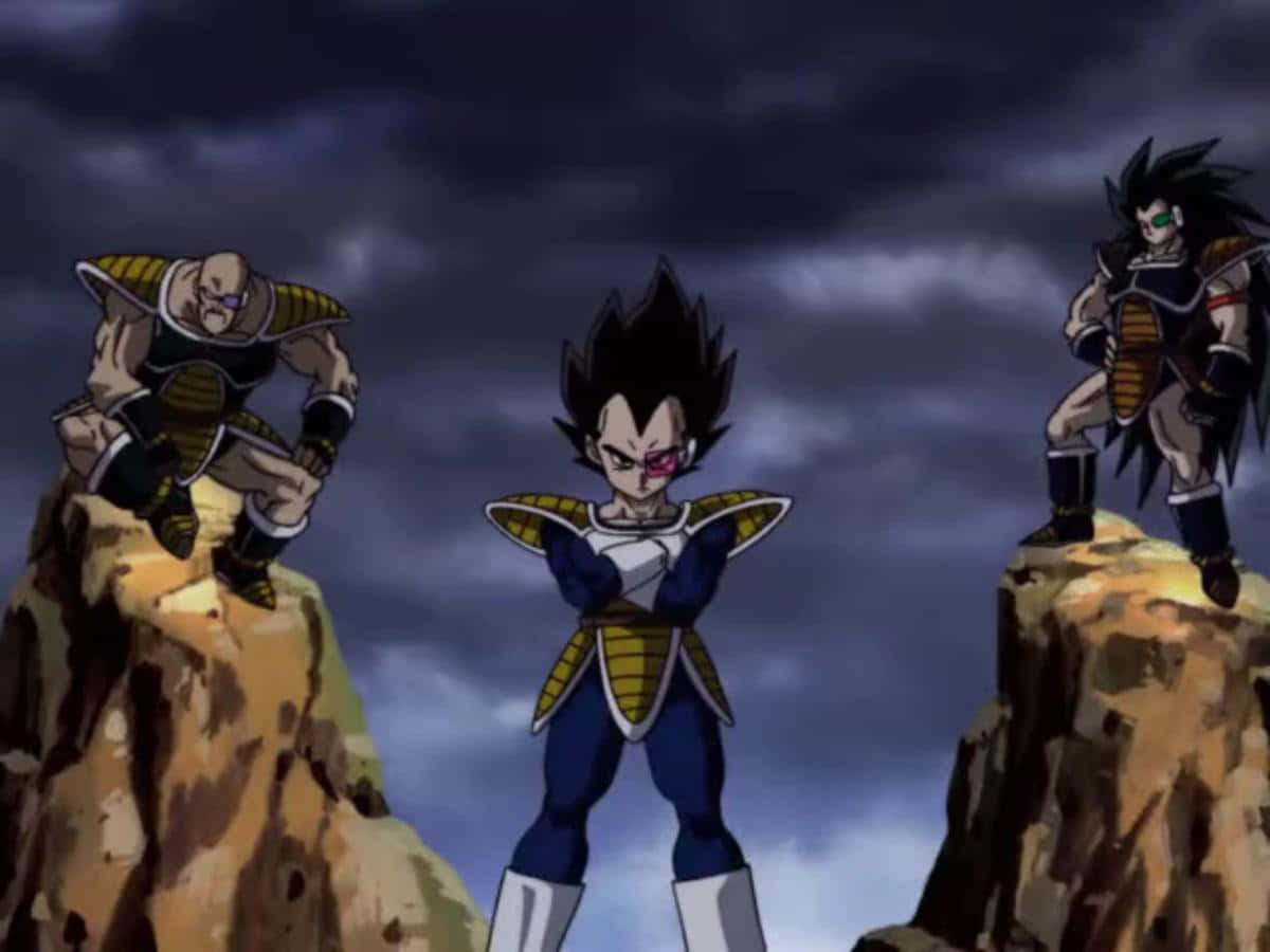 Raditz, anime warriors, rocky outcrops, SD Desktop Wallpaper