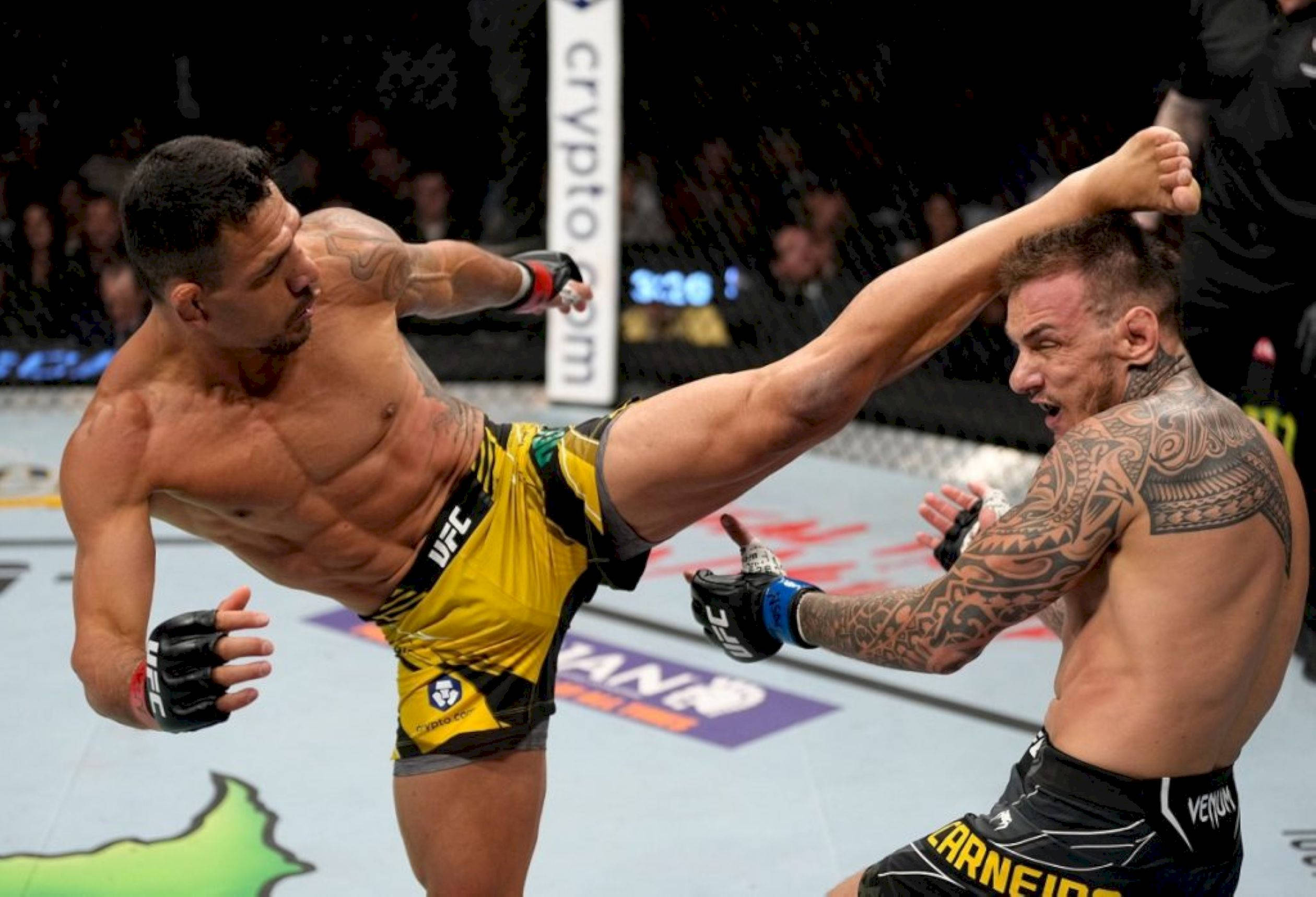 Rafael Dos Anjos, high kick, cage, Full HD Desktop Wallpaper