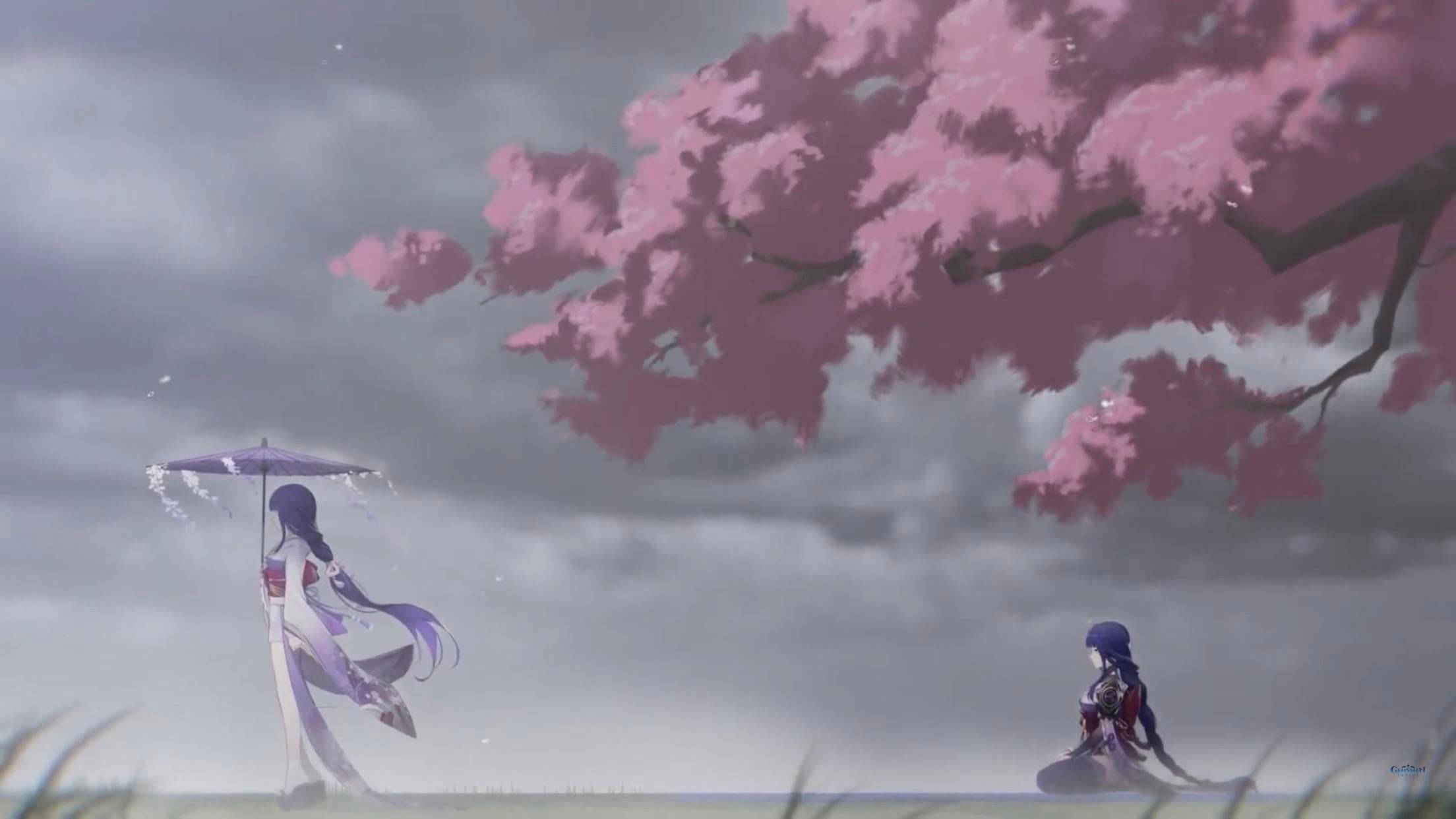 Raiden Shogun, pink cherry blossom tree, rainy field, Full HD Desktop Wallpaper