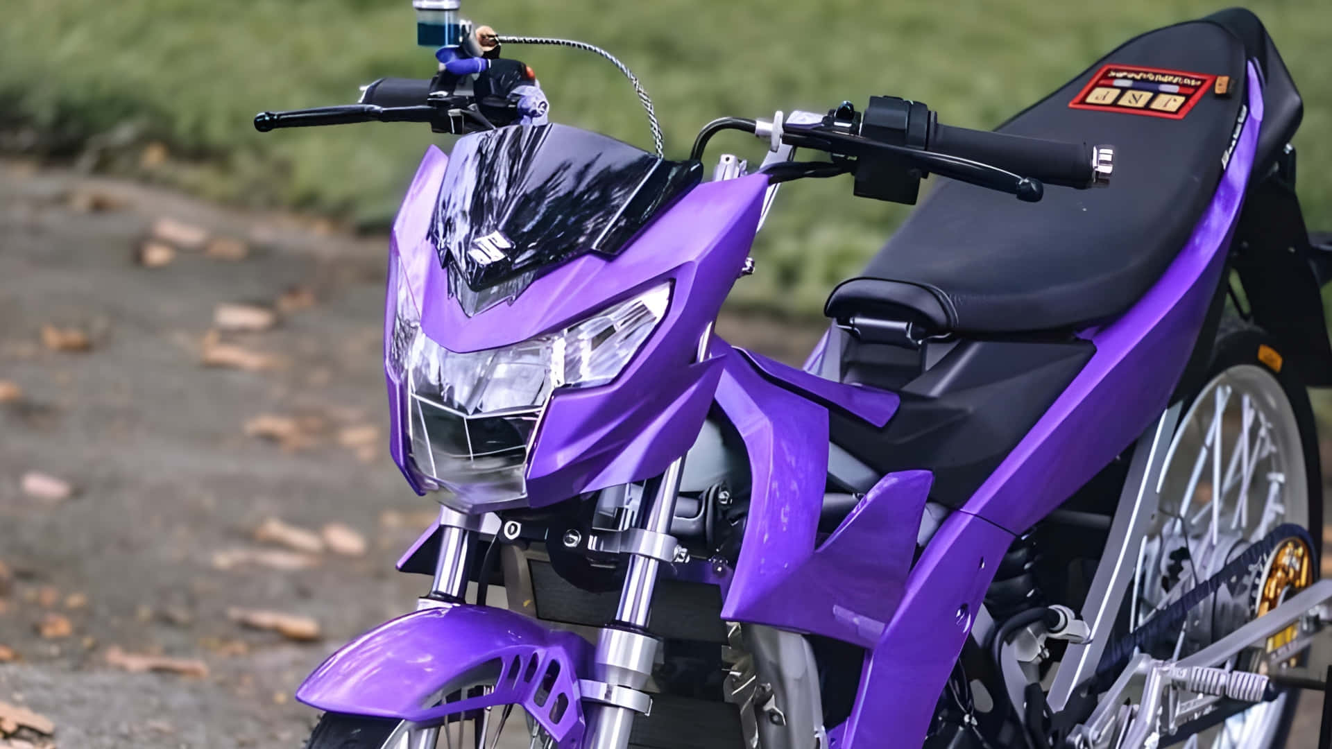 Raider 150 Fi, purple, black seat, Full HD Desktop Wallpaper