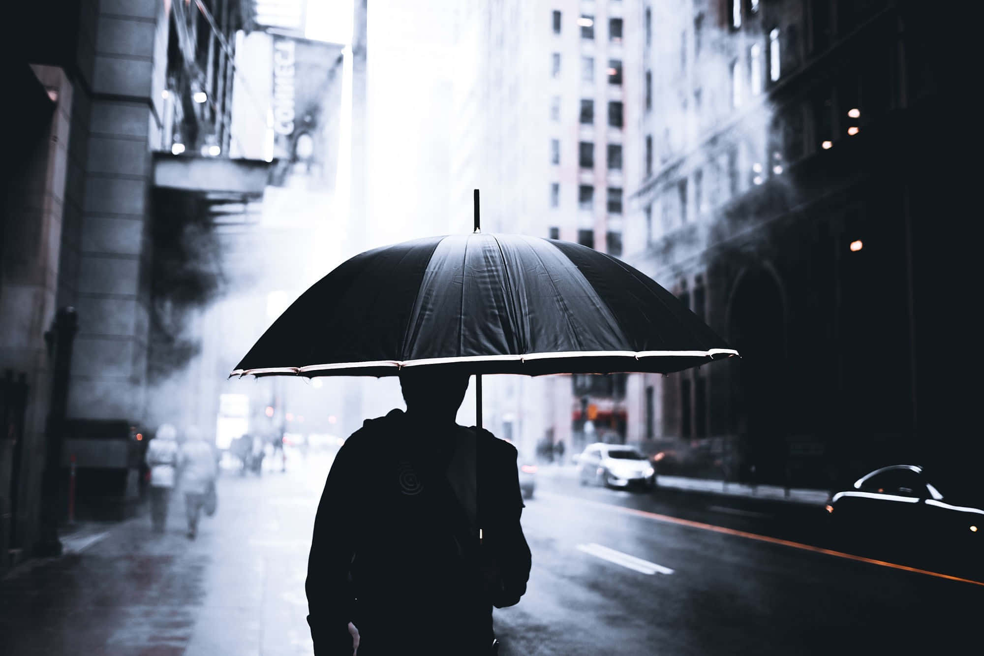 Rain 4K, black umbrella, rainy city street, Full HD Desktop Wallpaper