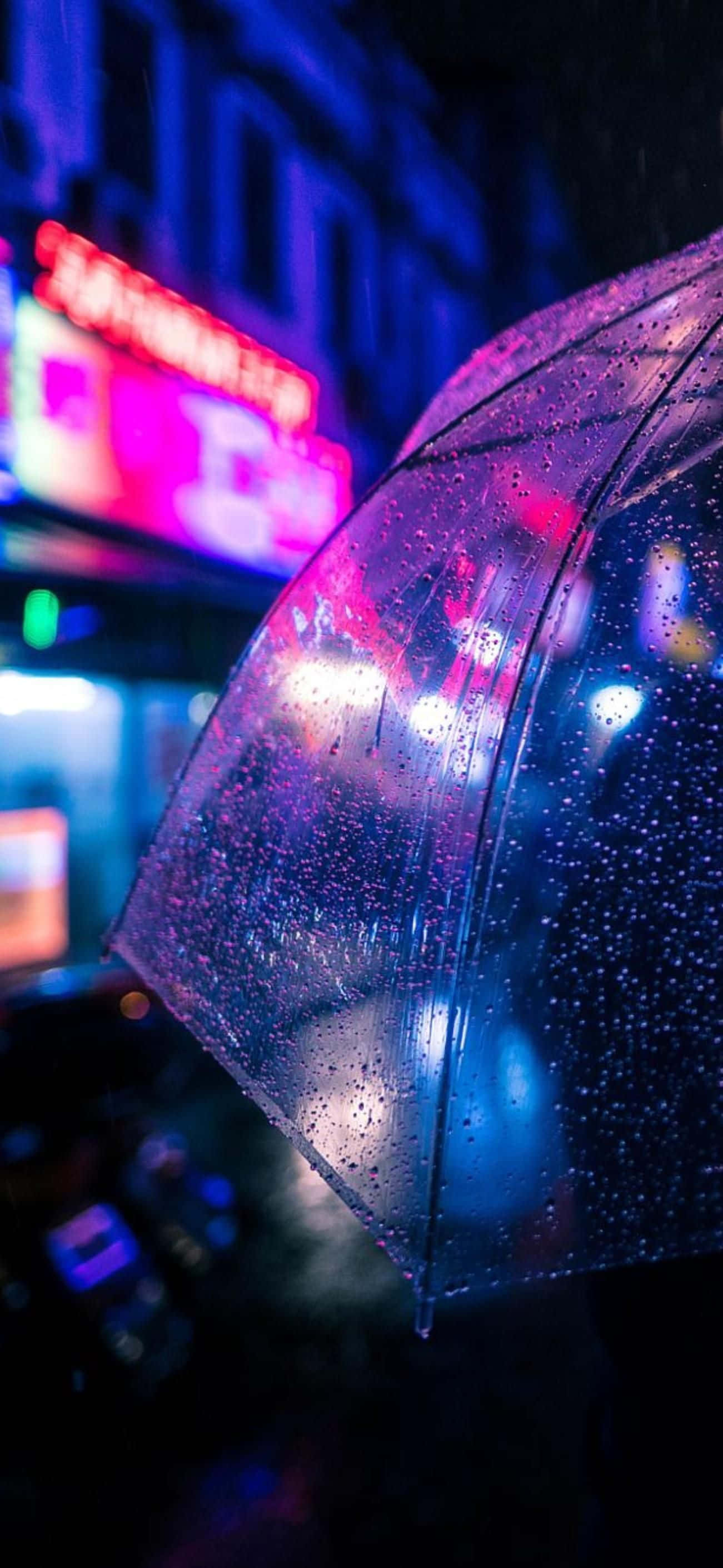 Rain Anime, transparent umbrella, raindrops, 2K Phone Wallpaper